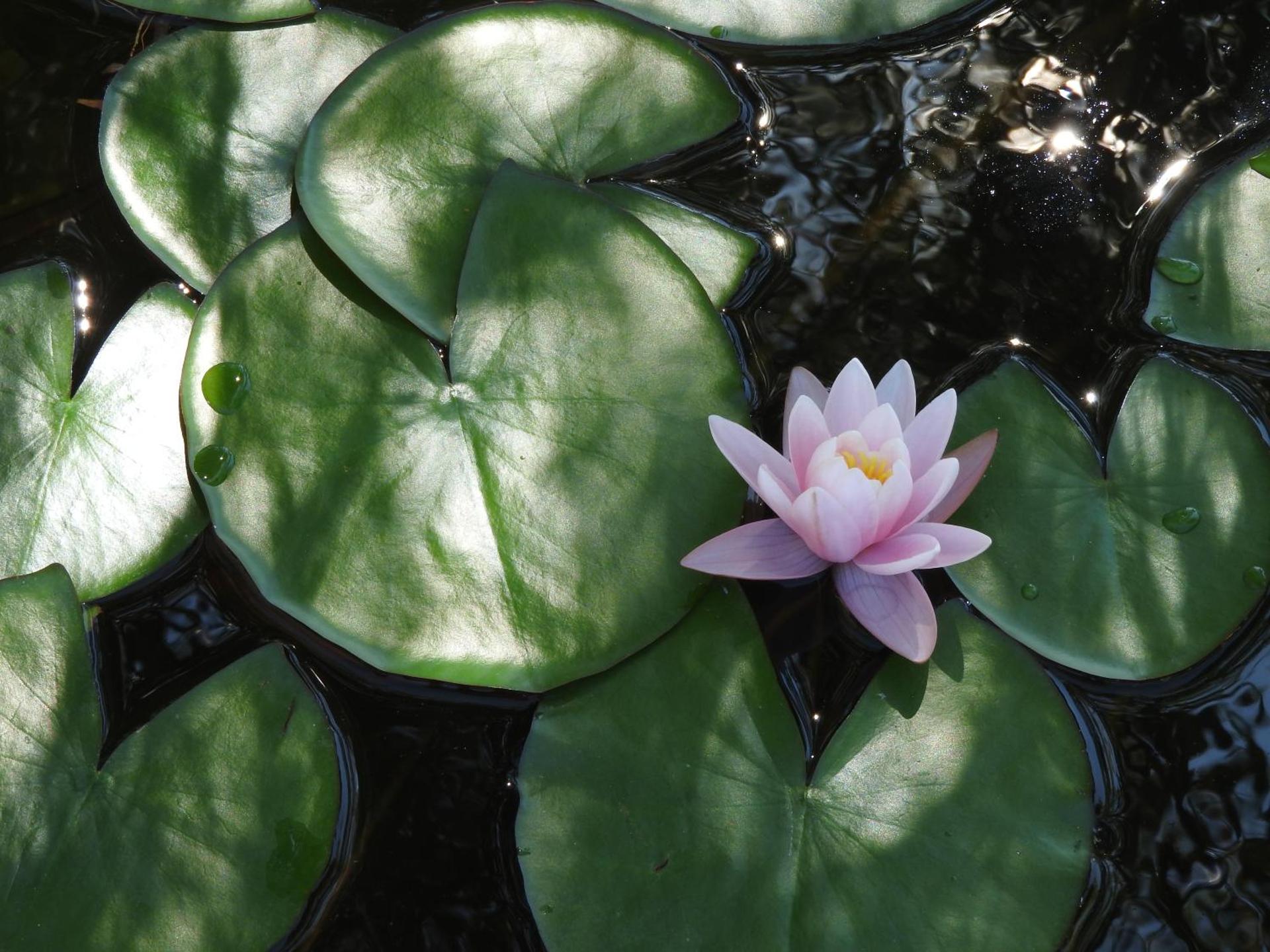 Ca' Mira - Room&Breakfast