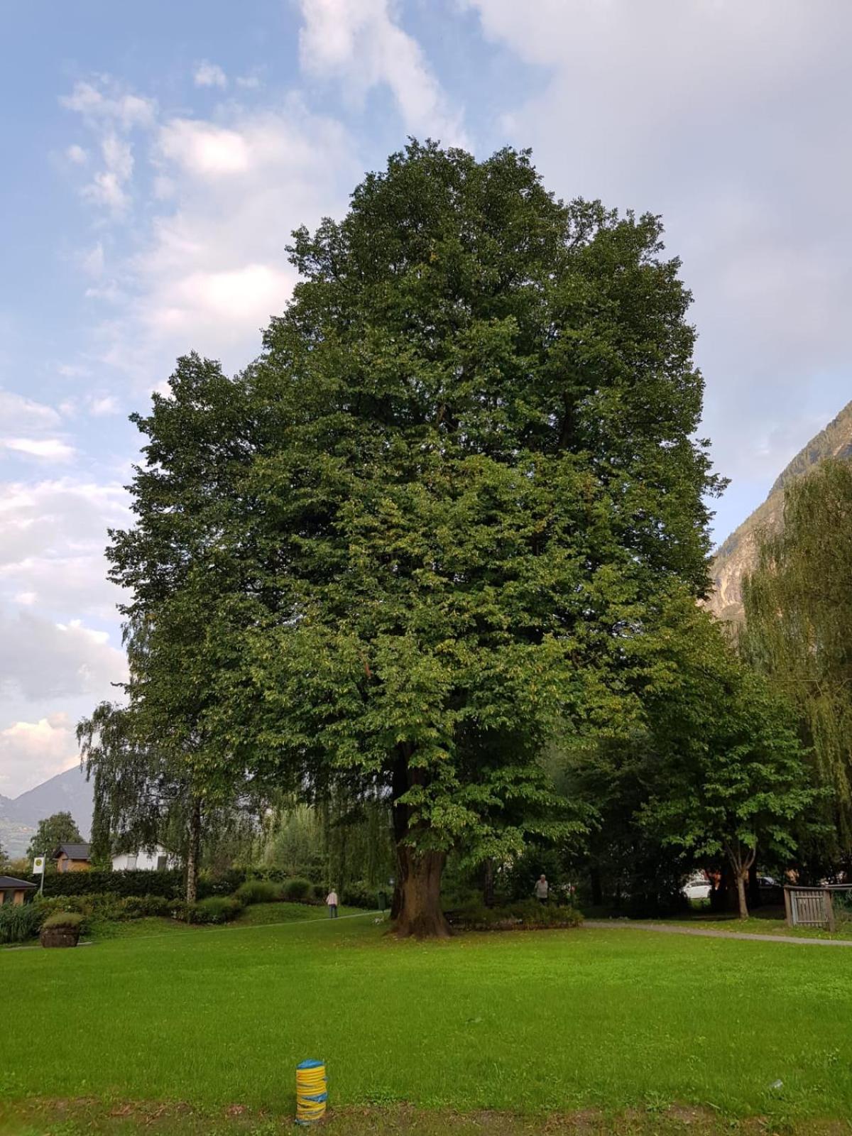 Privatzimmer Bundschuh