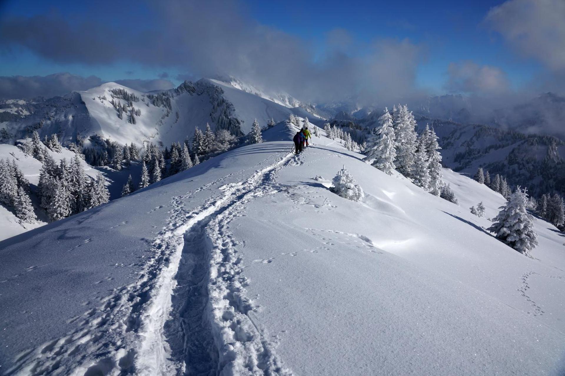 Apartment Jaegerhaus