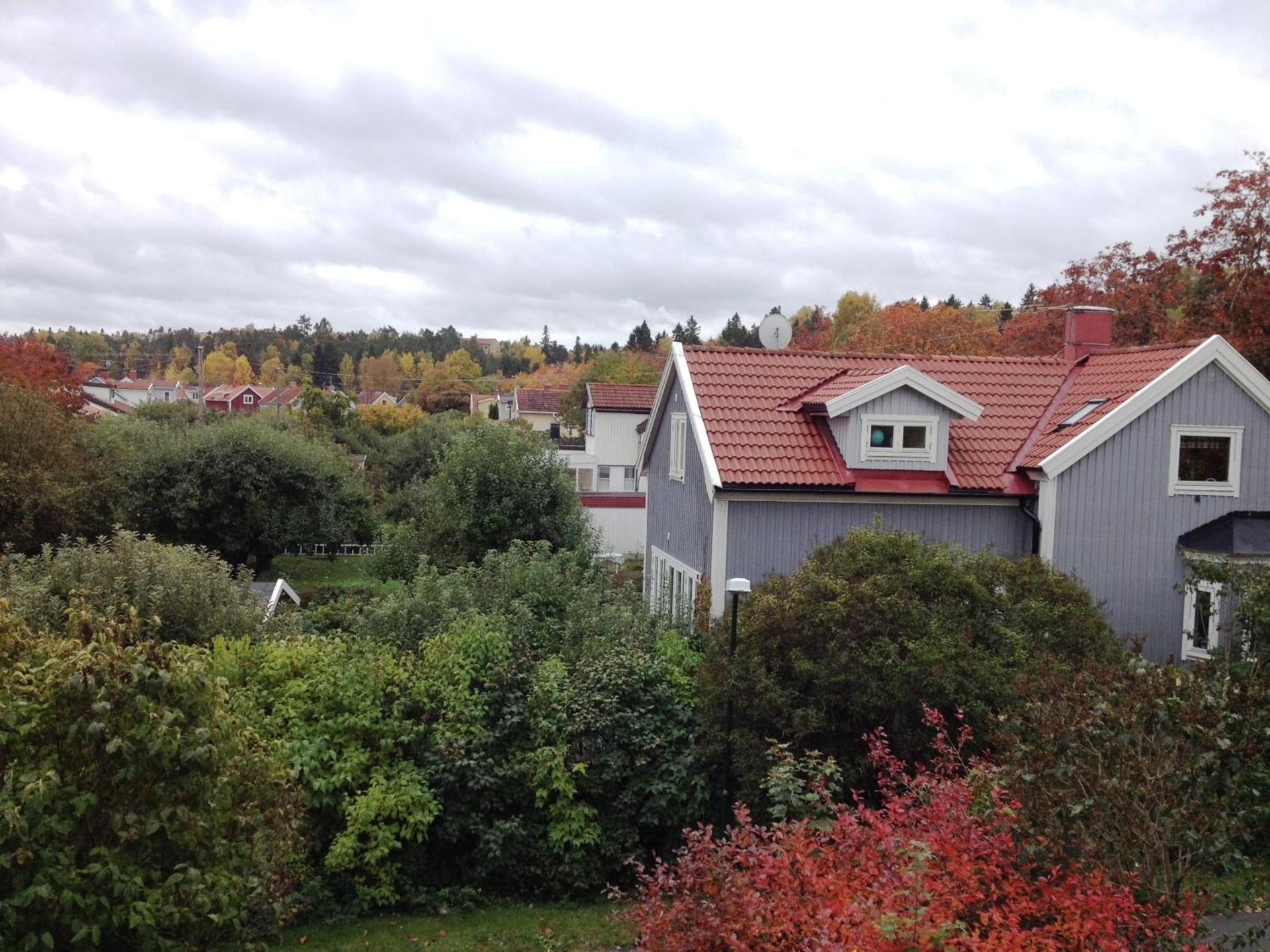 View (from property/room)