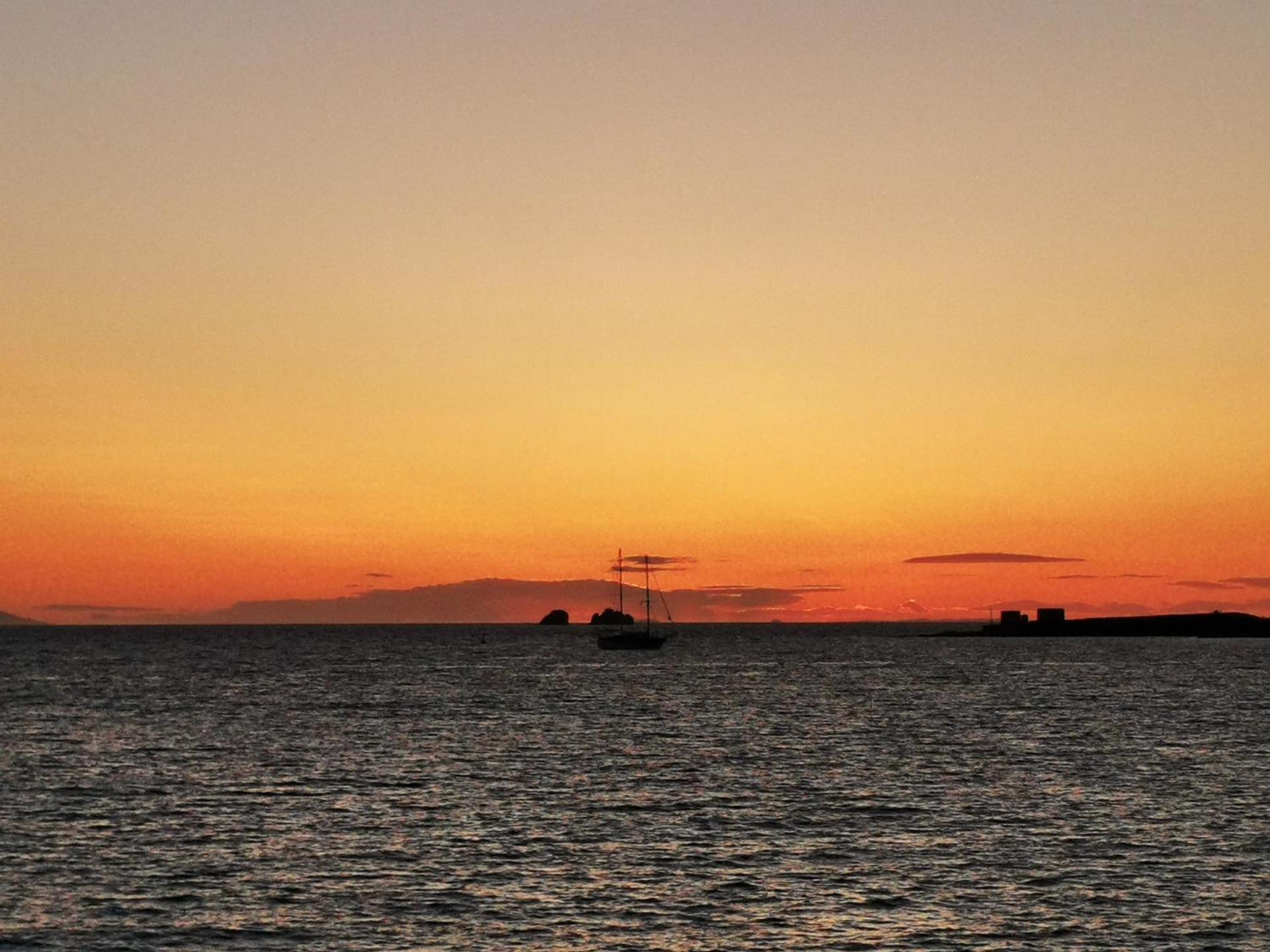 Oasis Studios Logaras