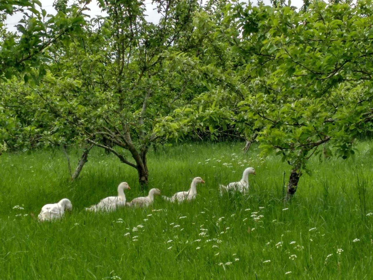 Bastle Retreats Farm Cottage
