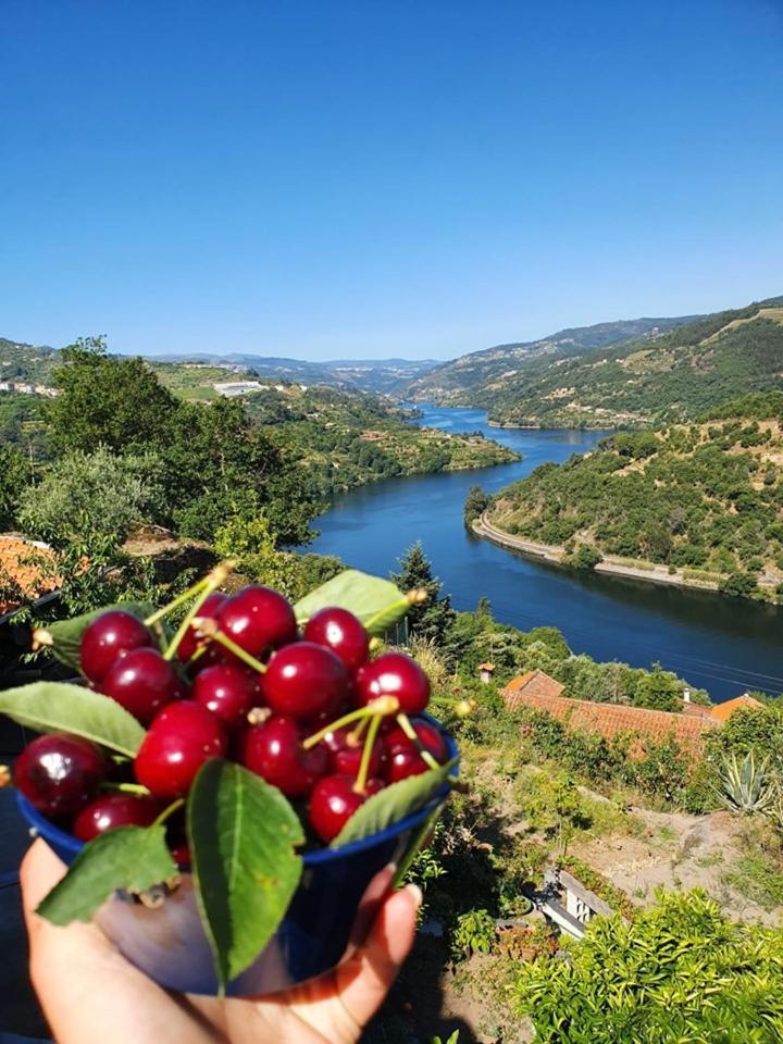 Douro Mesio Guest House