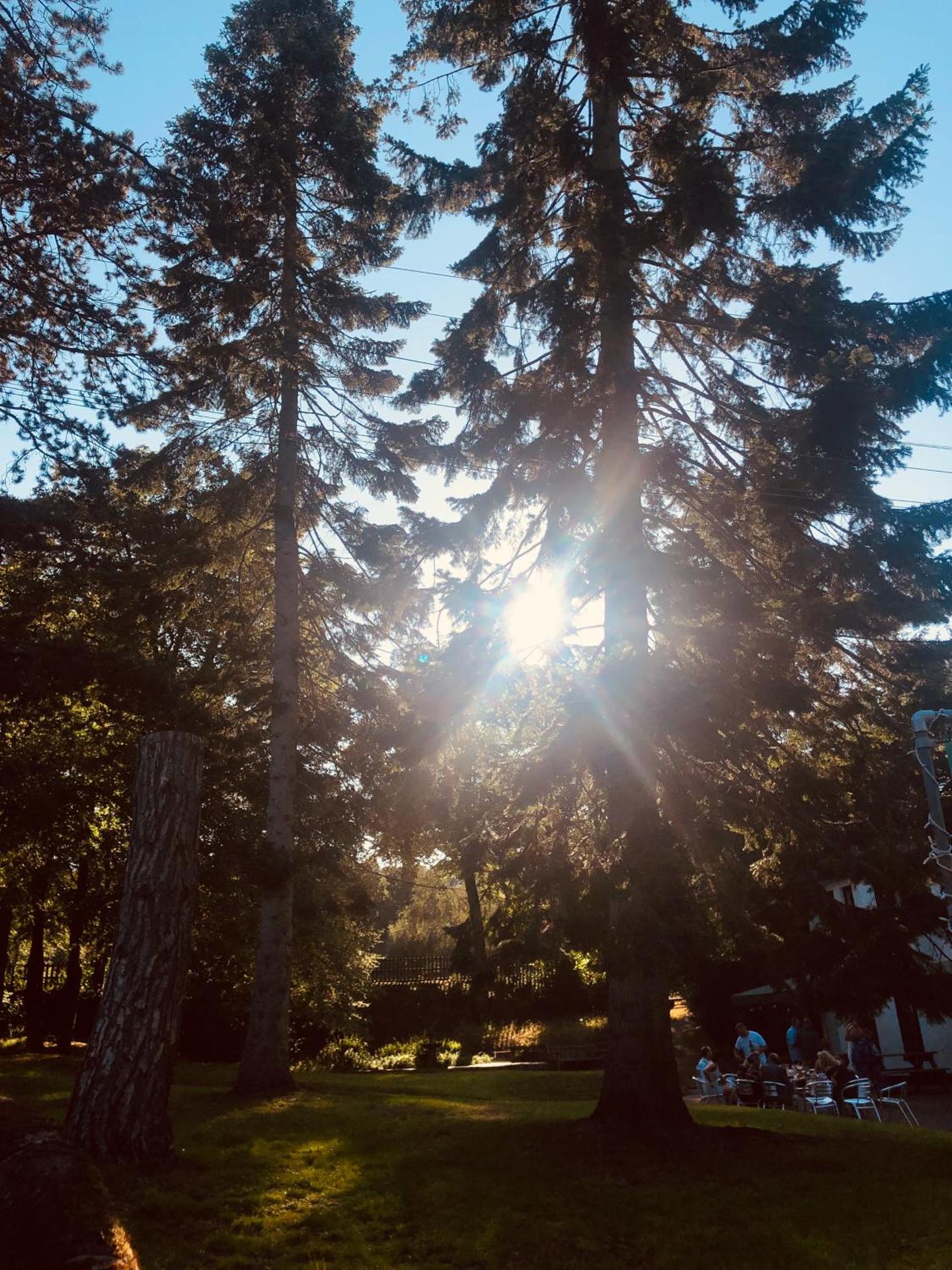 Old Rose and Crown Hotel Birmingham