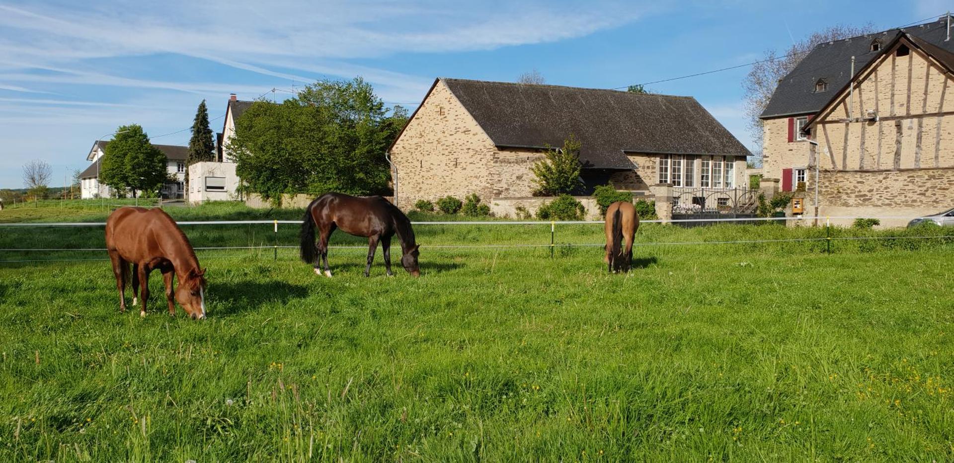 View (from property/room)