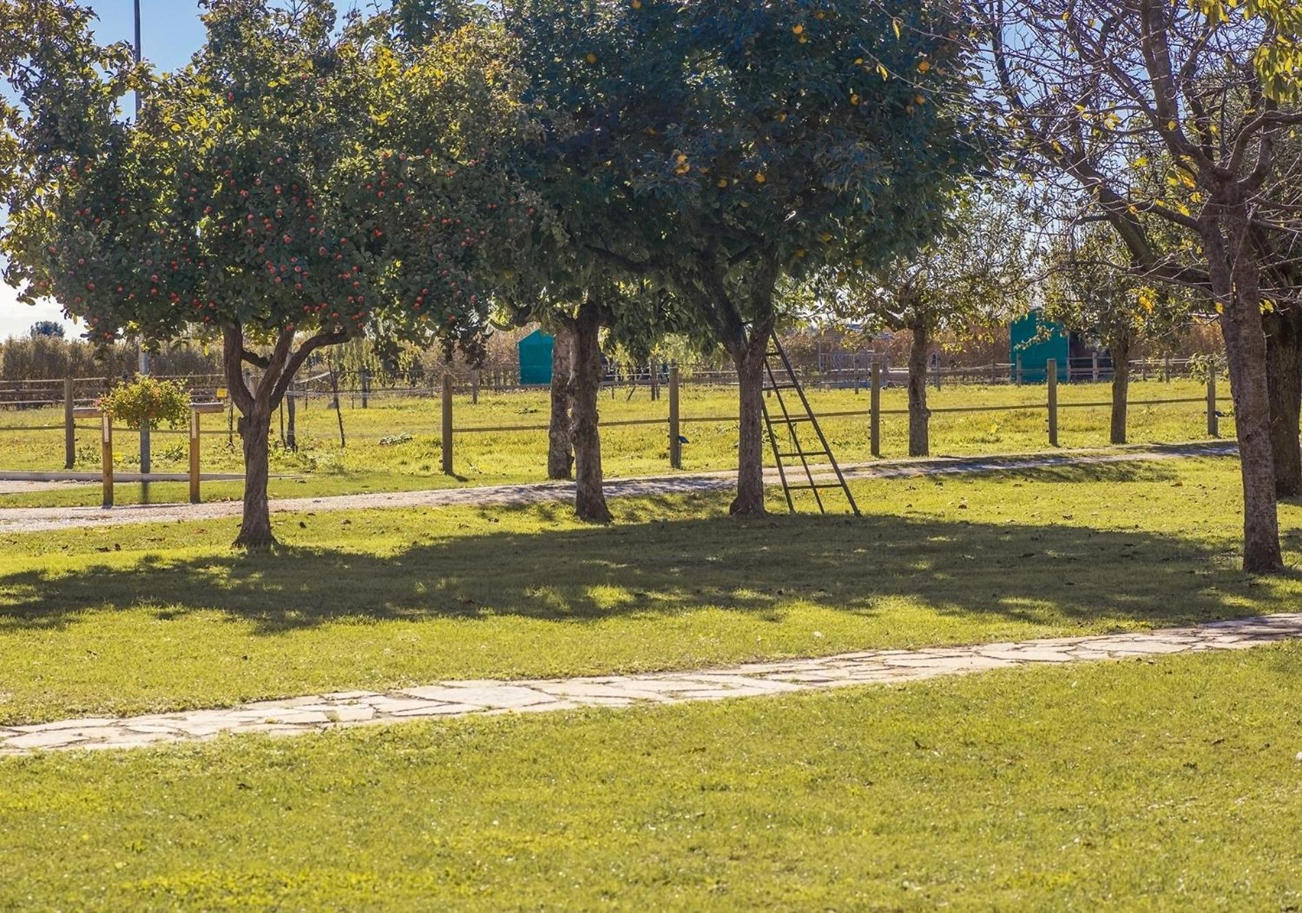 Inner courtyard view