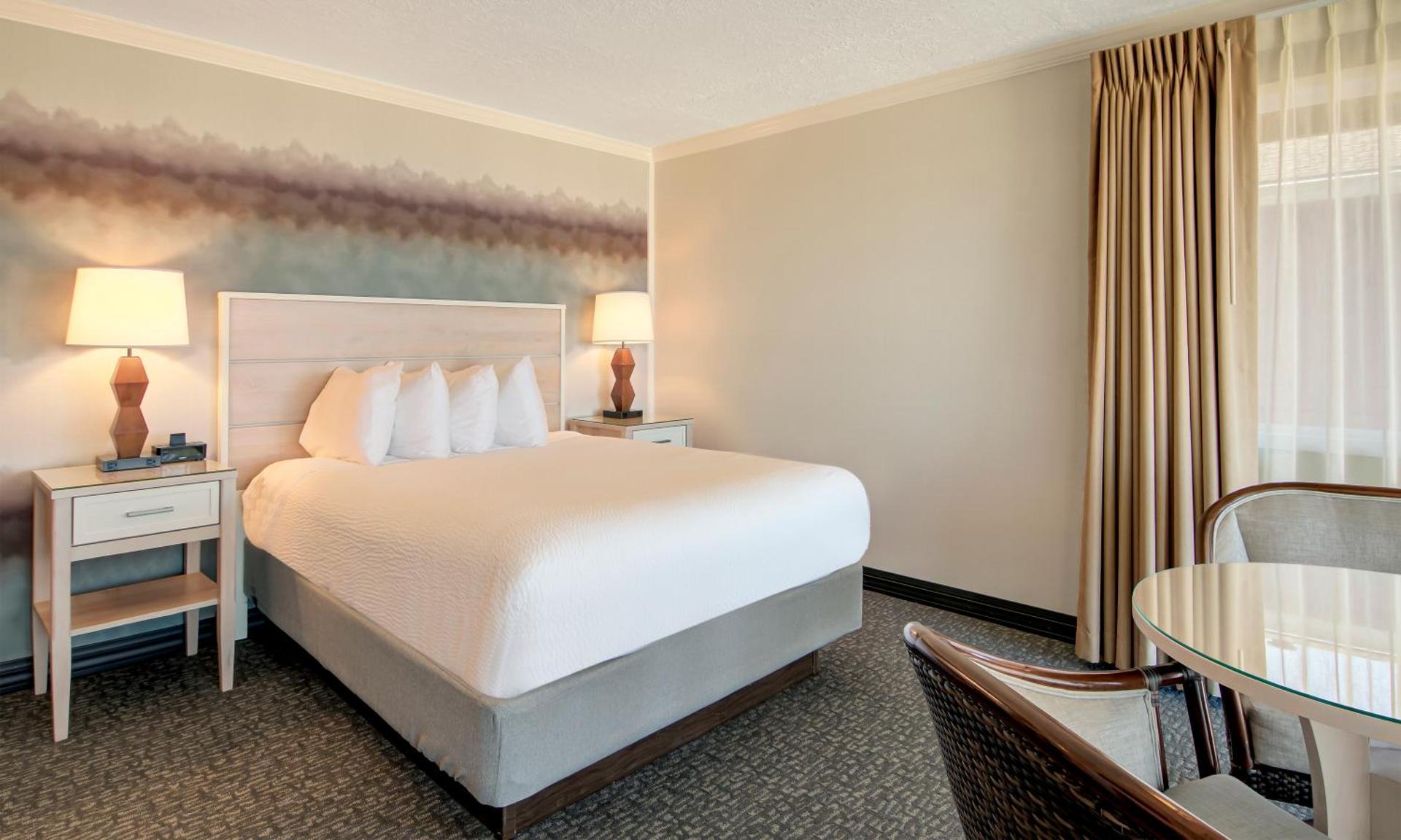 Pet Friendly Oceanfront Queen