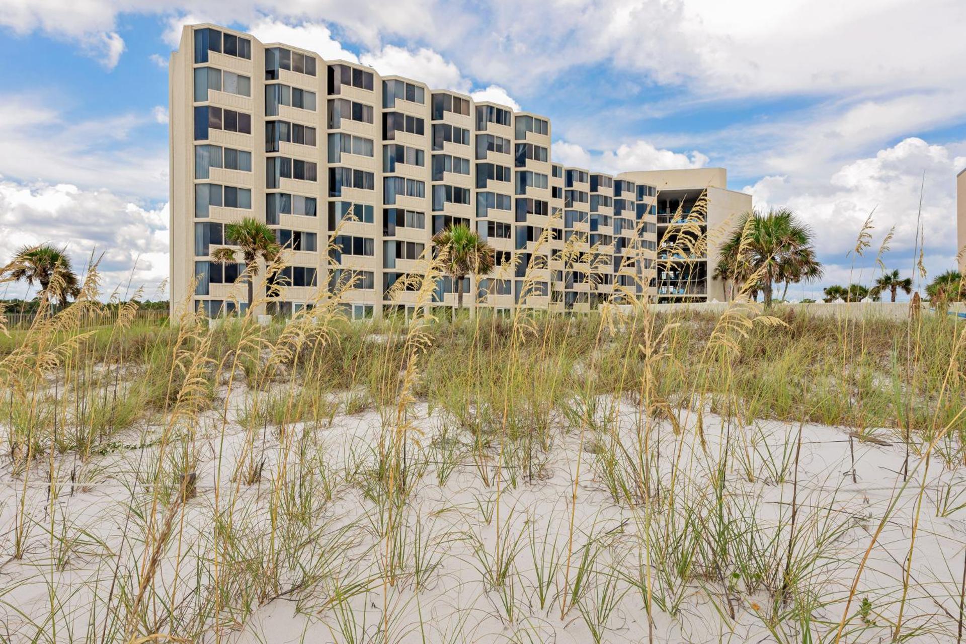 The Top of the Gulf #112