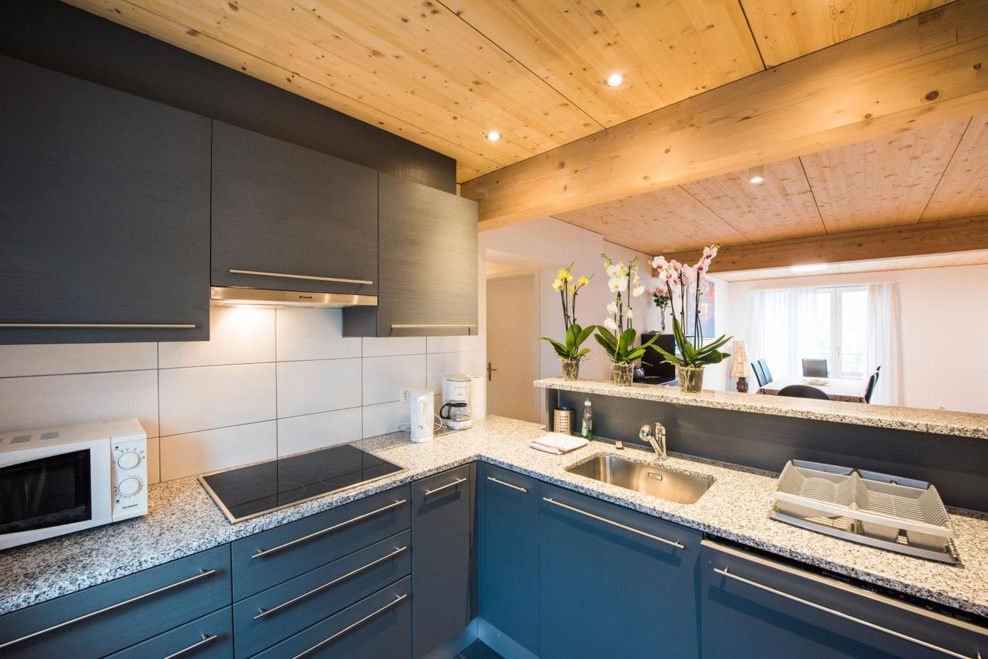 Beaulac Penthouse - Direct lake view