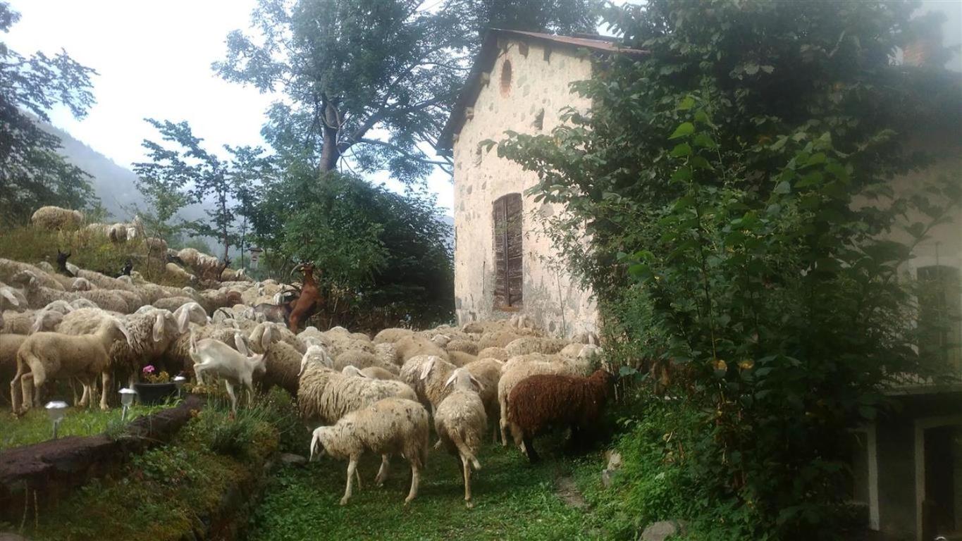 B&B L'Abric - centro storico di Limonetto