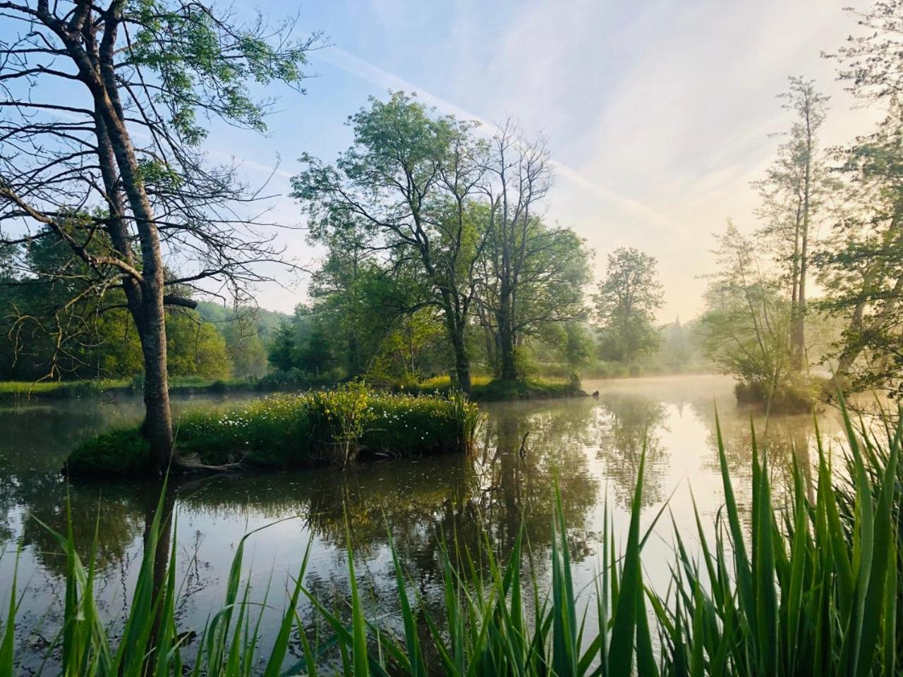 Gîte Martin pêcheur au coeur de la nature
