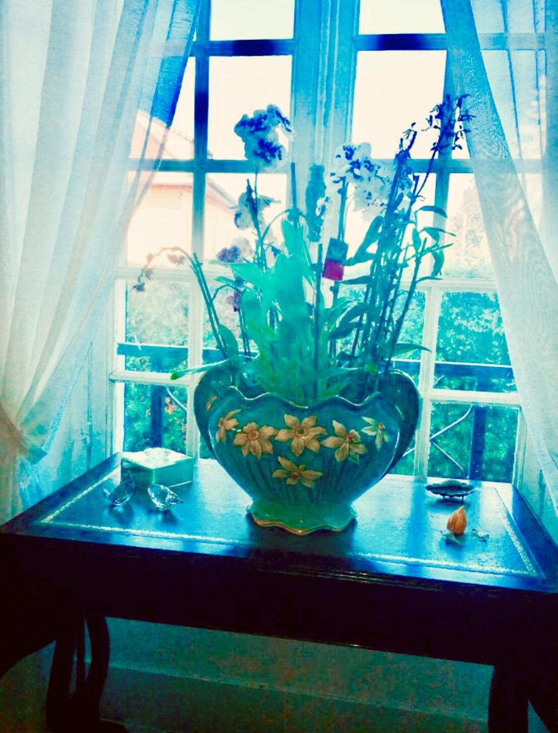 Les rêves d'Angèle