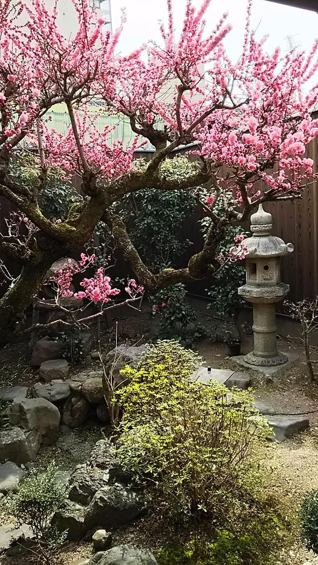 阿美弥 一日一組様限定
