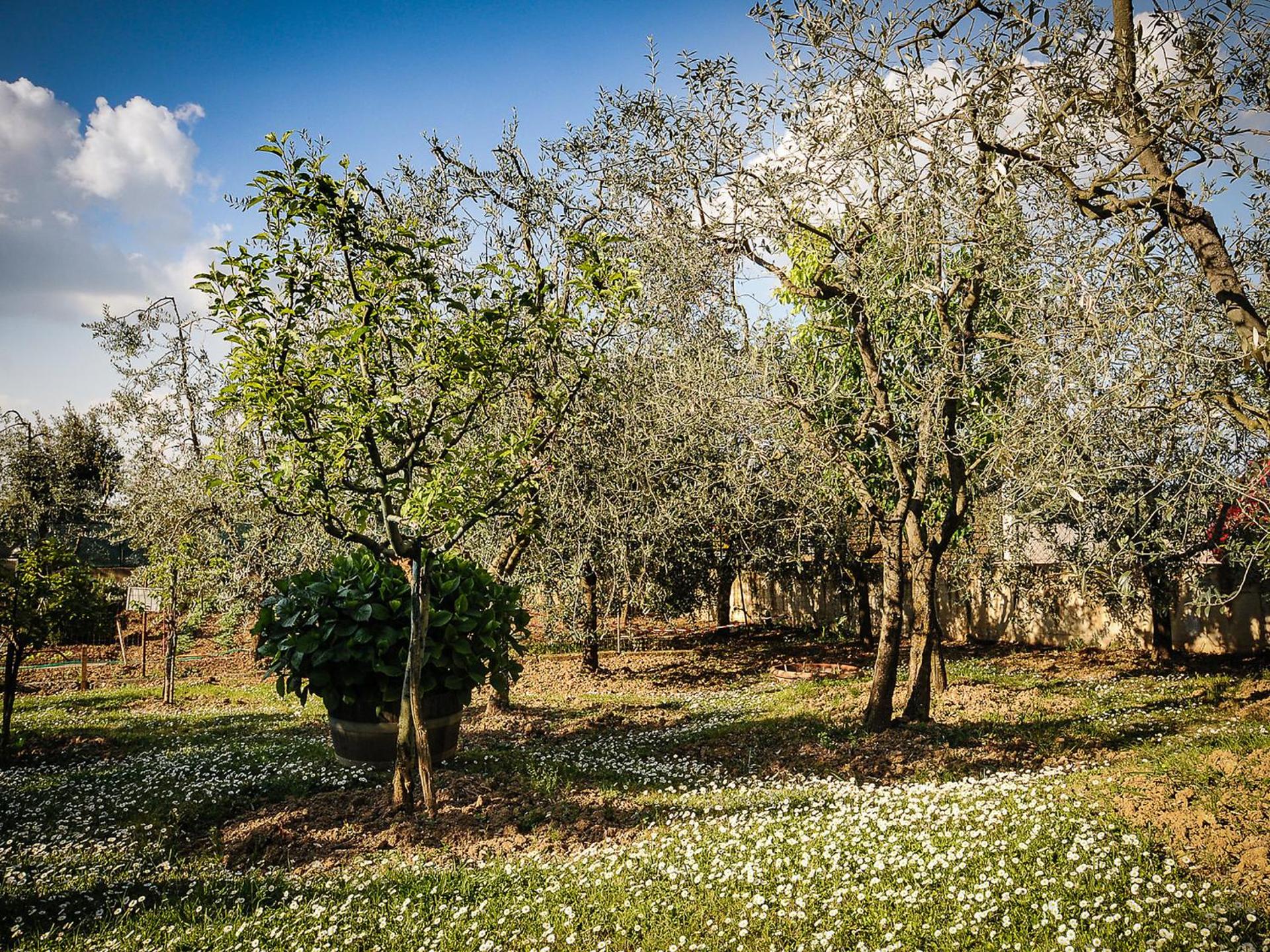 Apartment Matteuzzi by Interhome