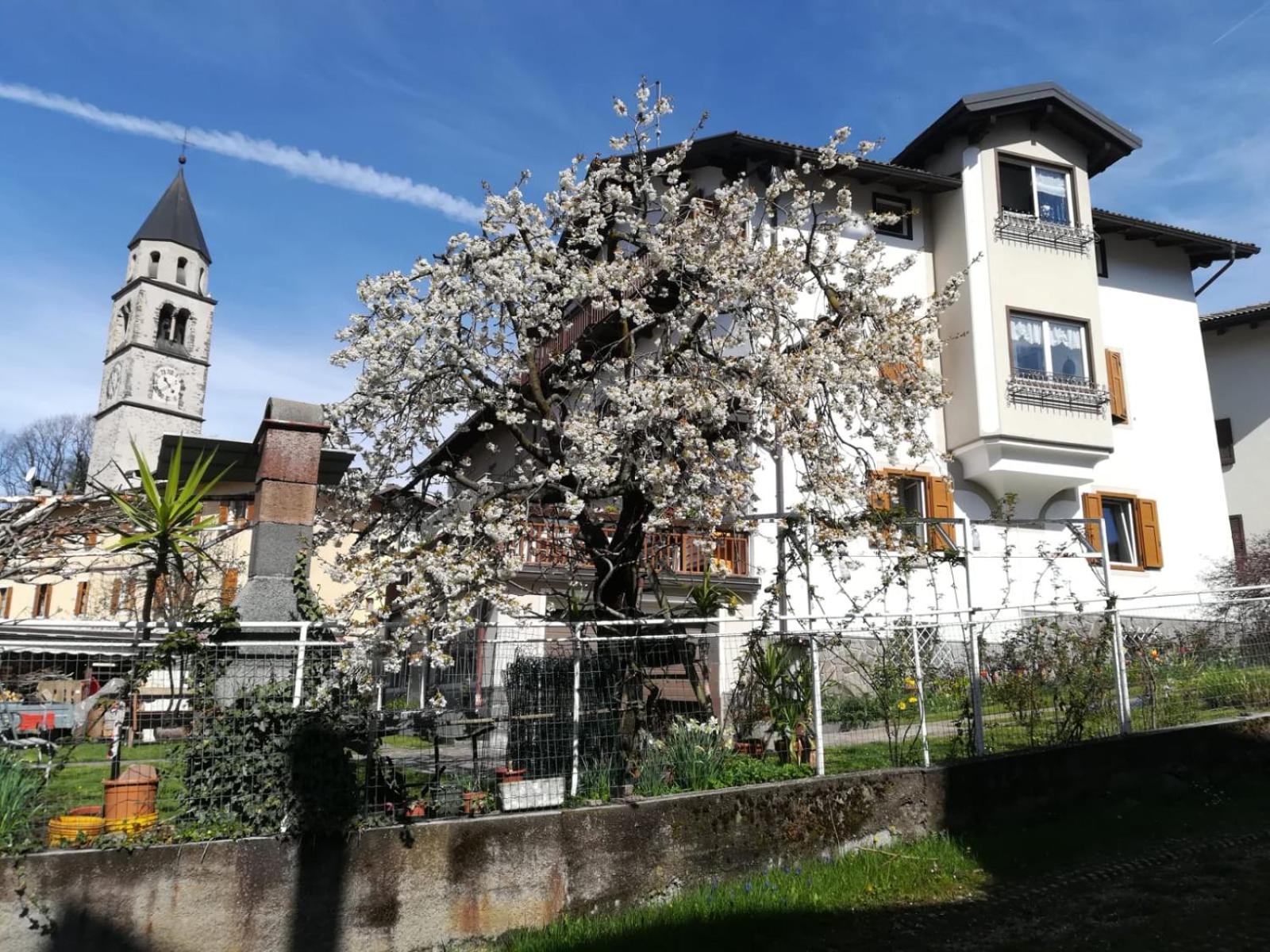 Appartamento da Pino