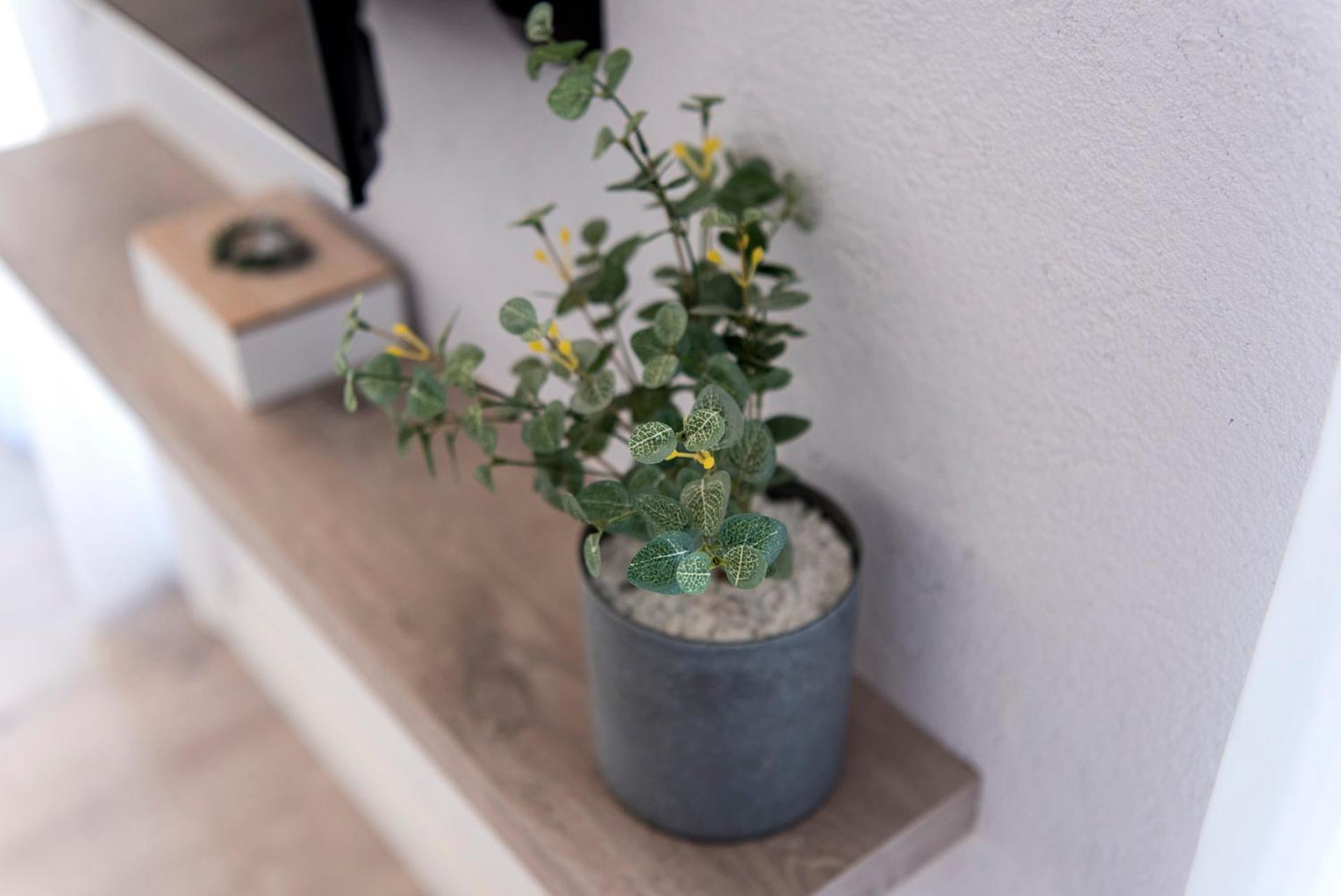 Lovely and bright apartment in the heart of Banyoles