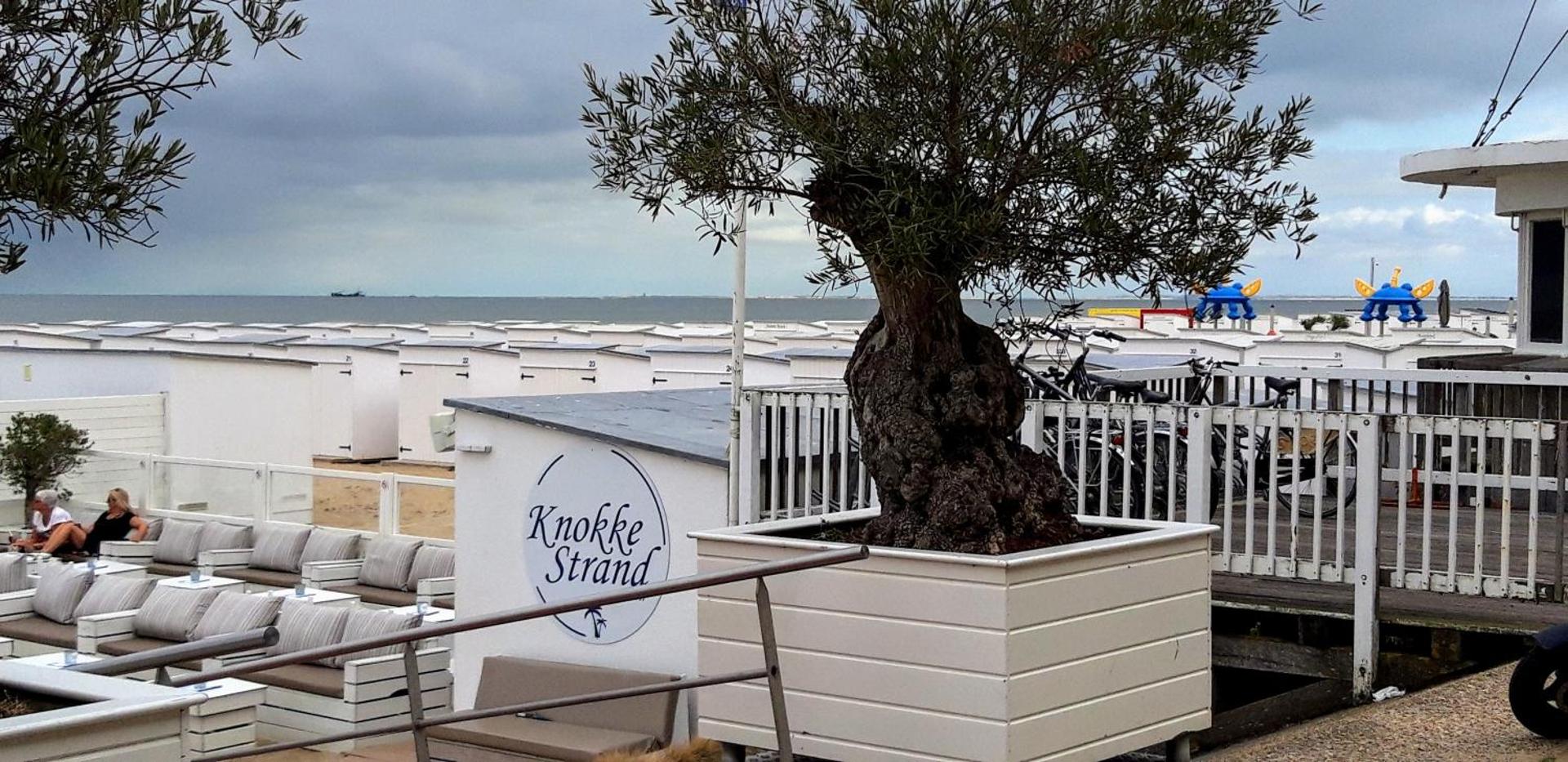 Apartment with a view and parking