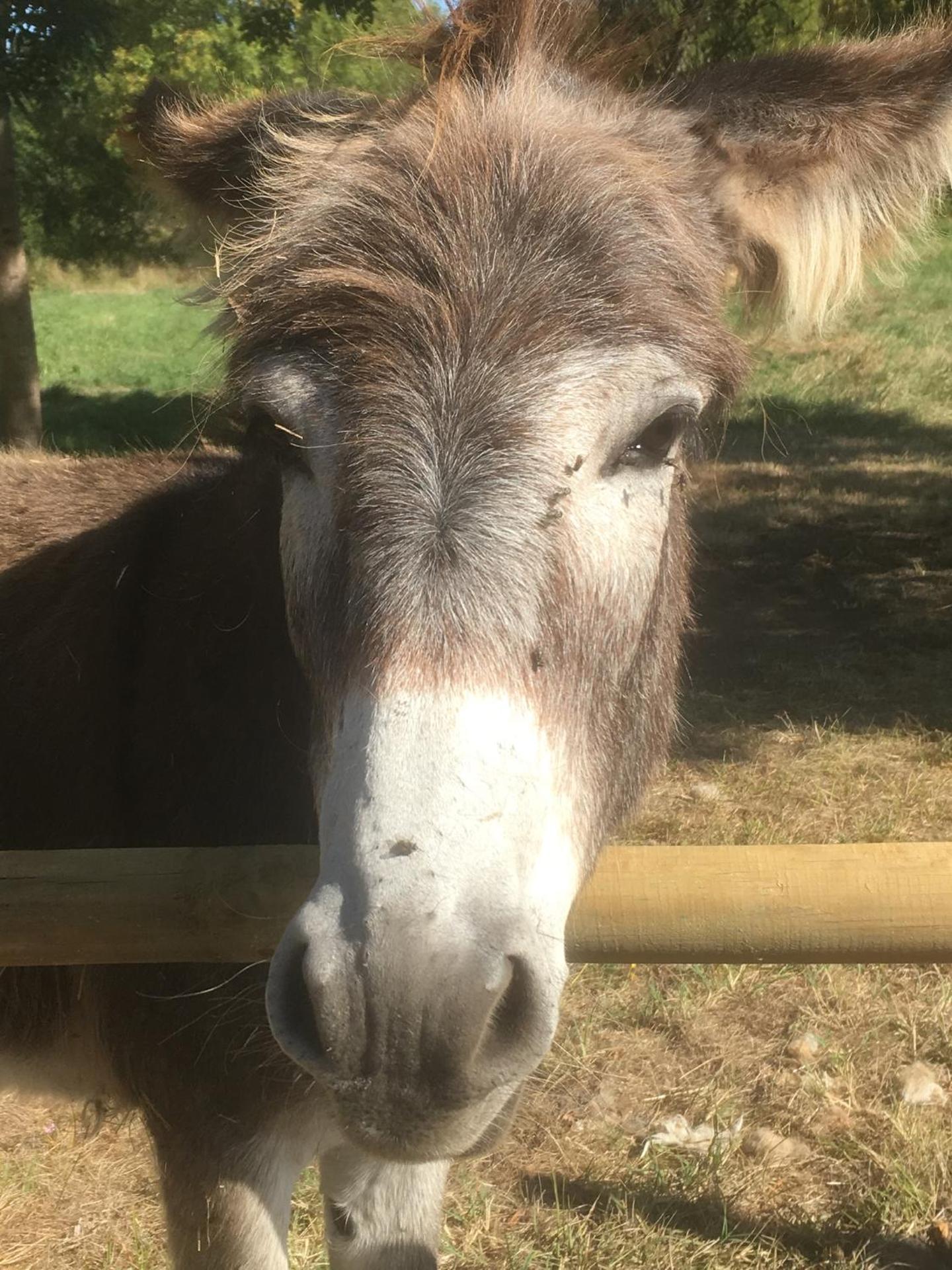 Gîte indépendant entre vignes et océan