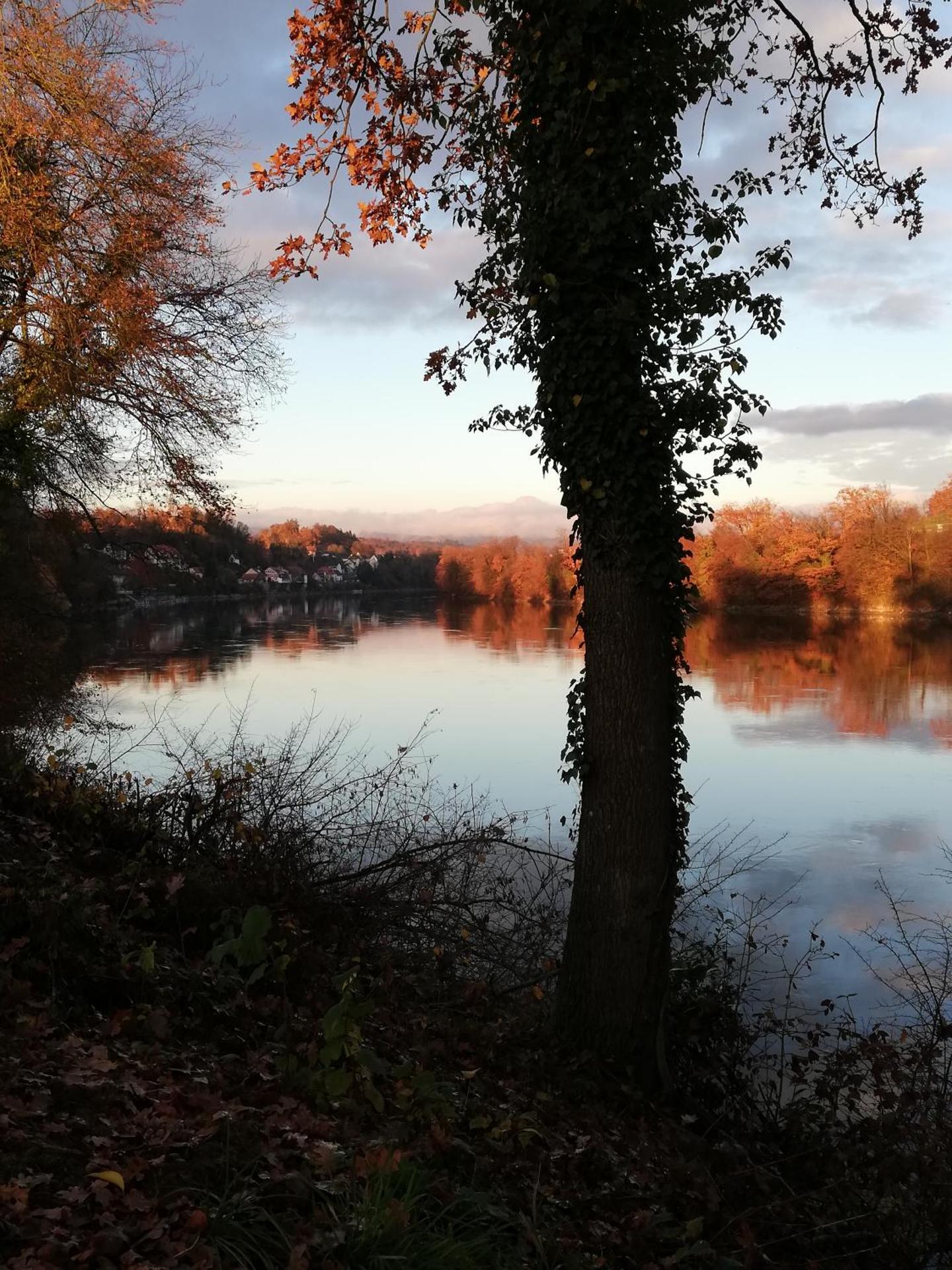 Gasthaus Hotel Kranz
