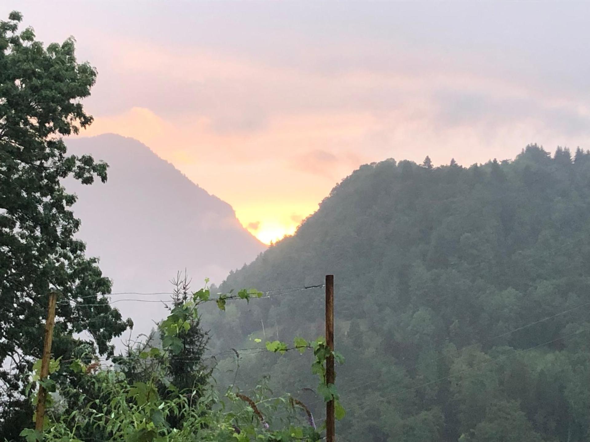 Appartement du bois des Fugiers