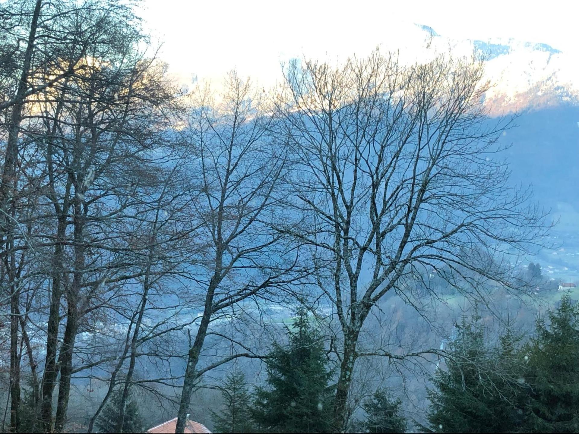 Appartement du bois des Fugiers