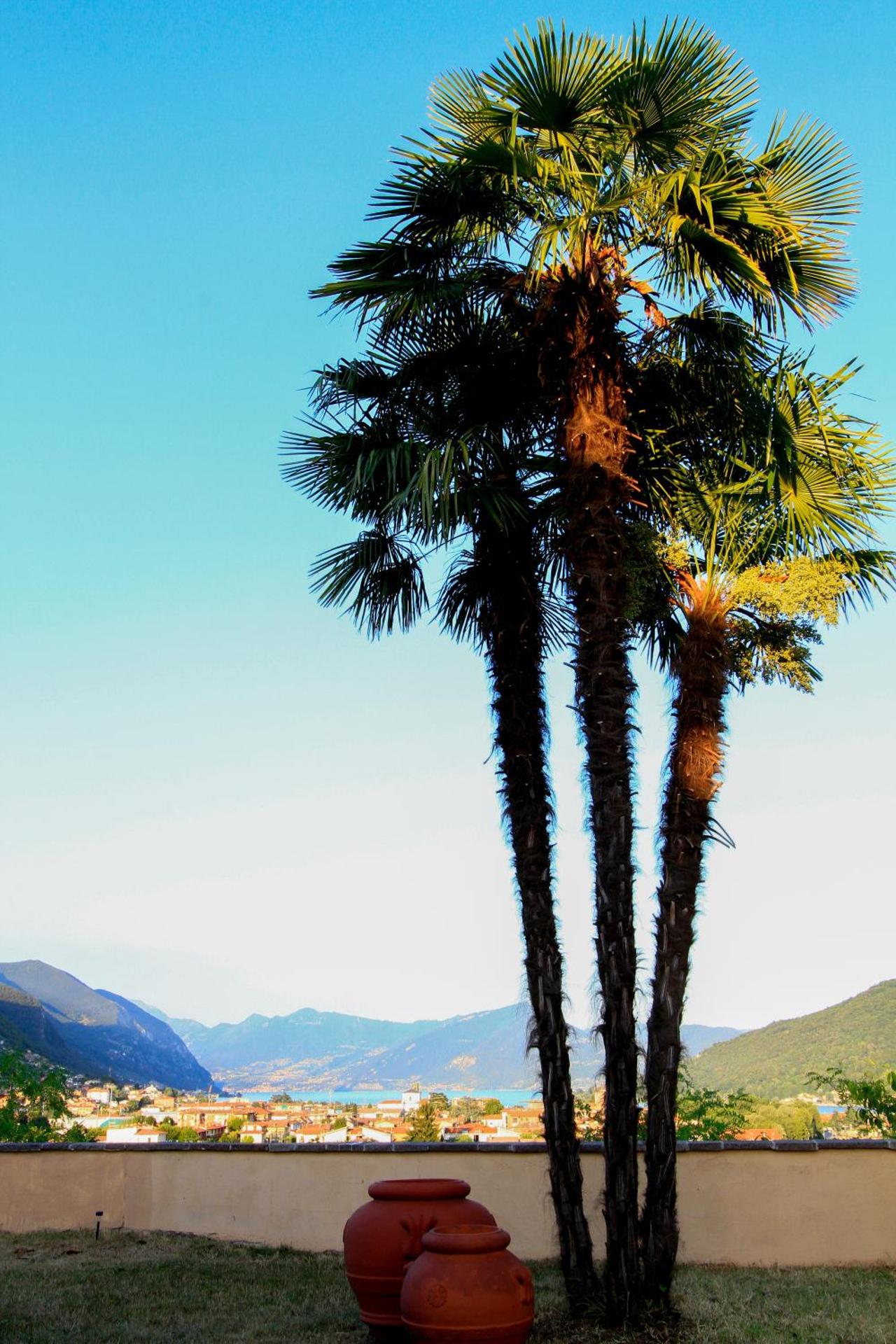 B&B La Fenice sul Lago