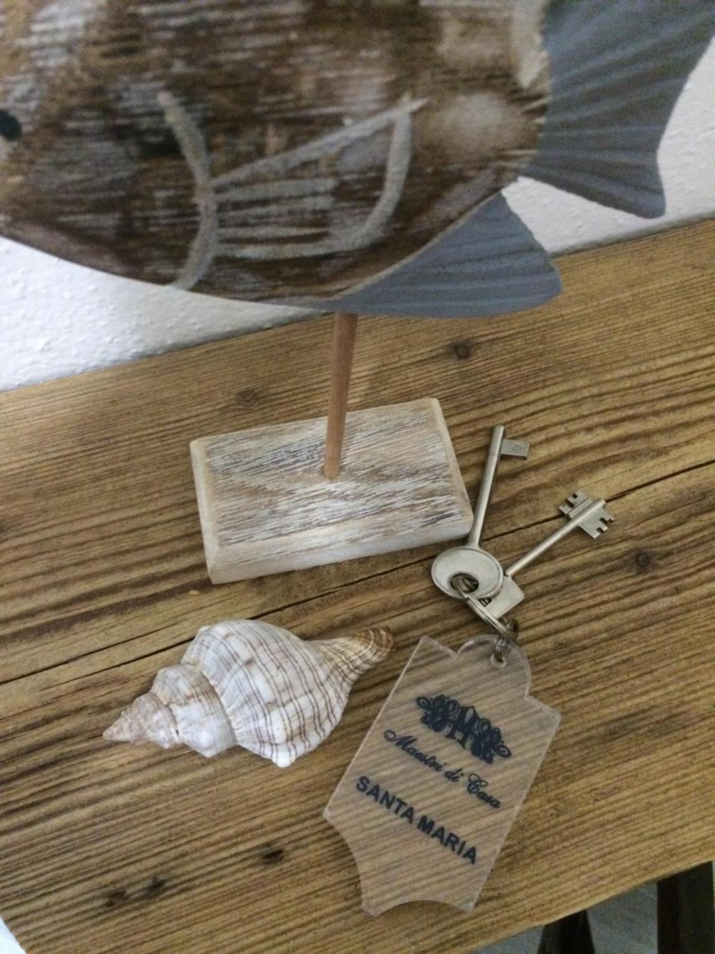 Logo/Certificate/Sign