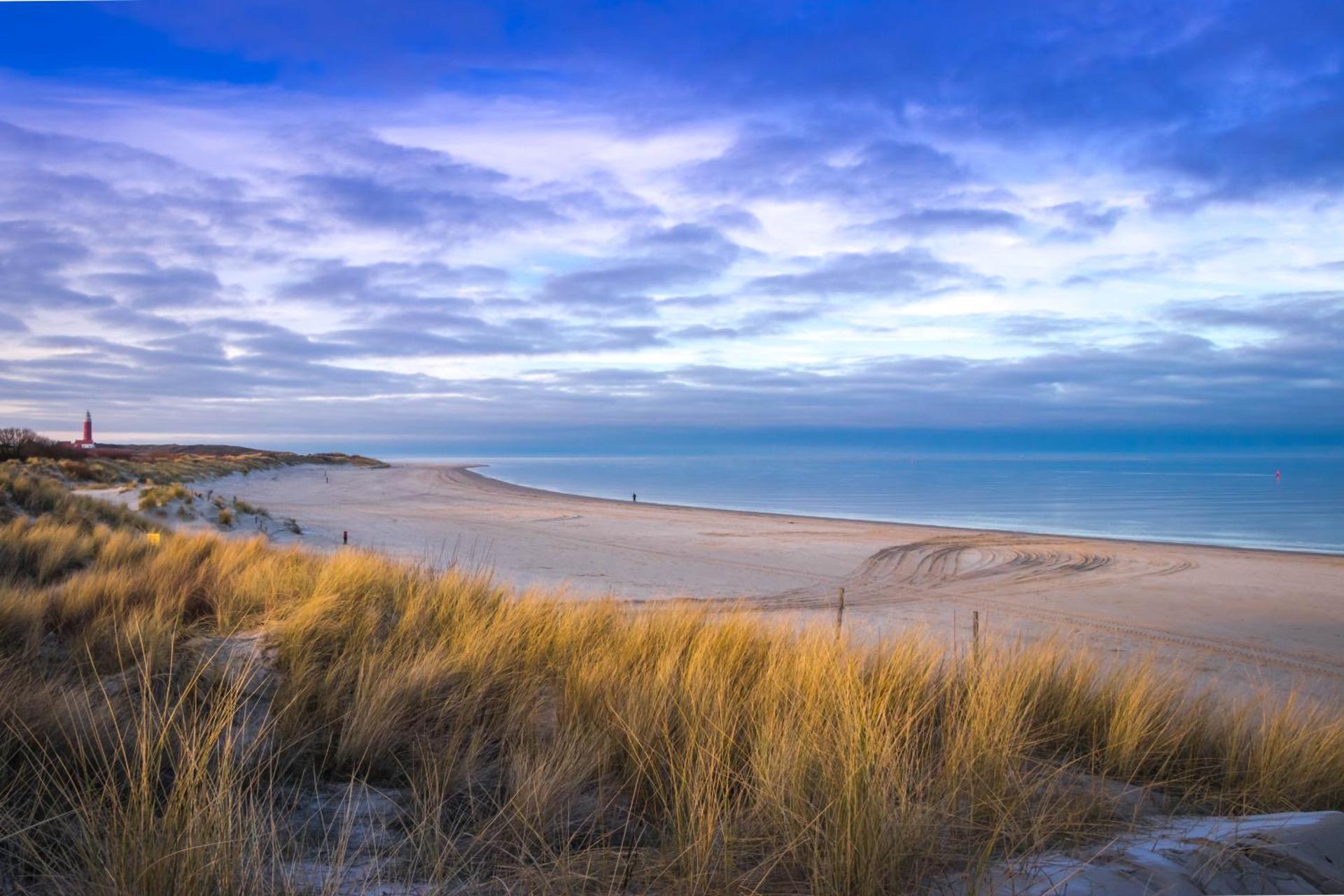 Bosruiter De Koog - Texel