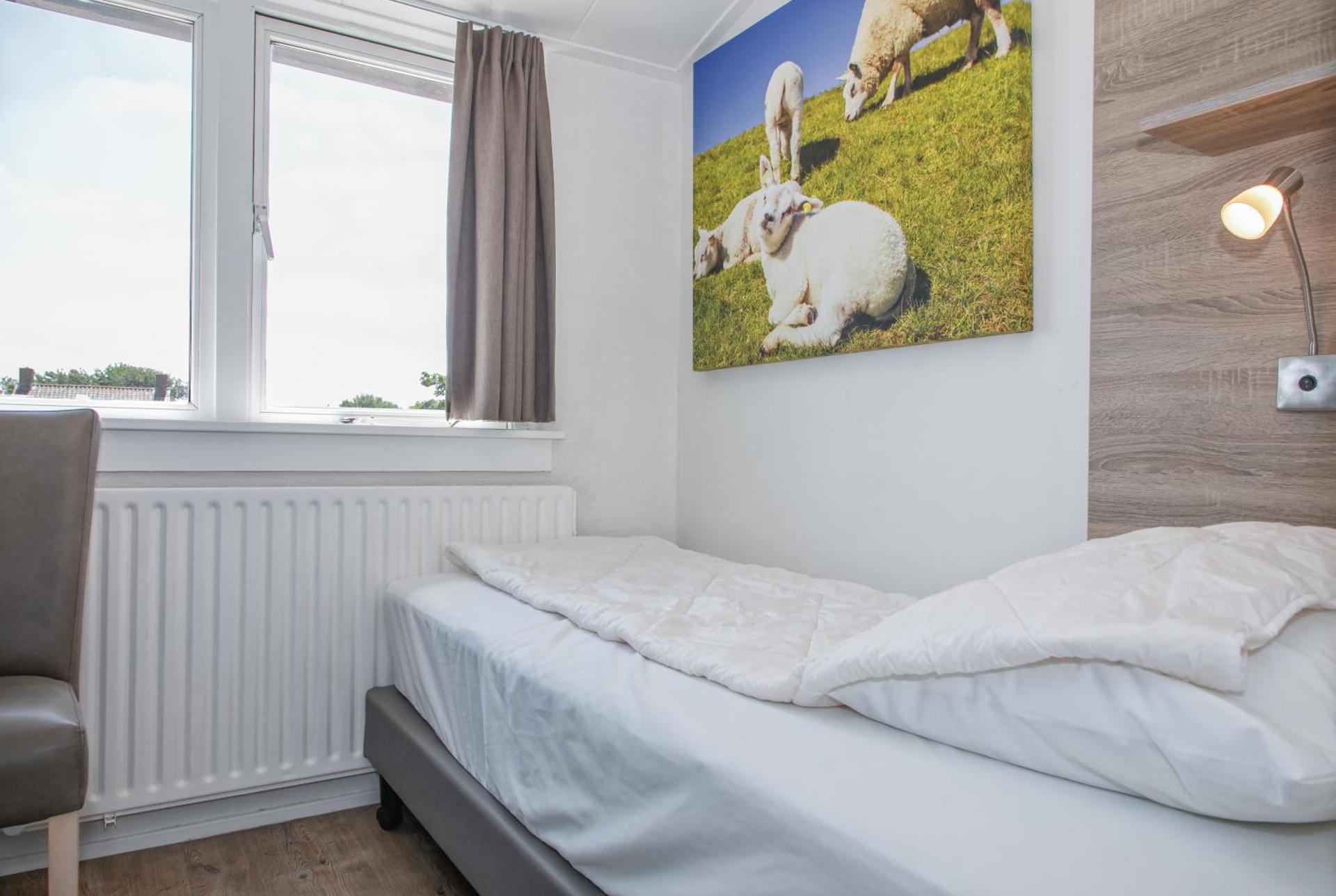 Bosruiter De Koog - Texel