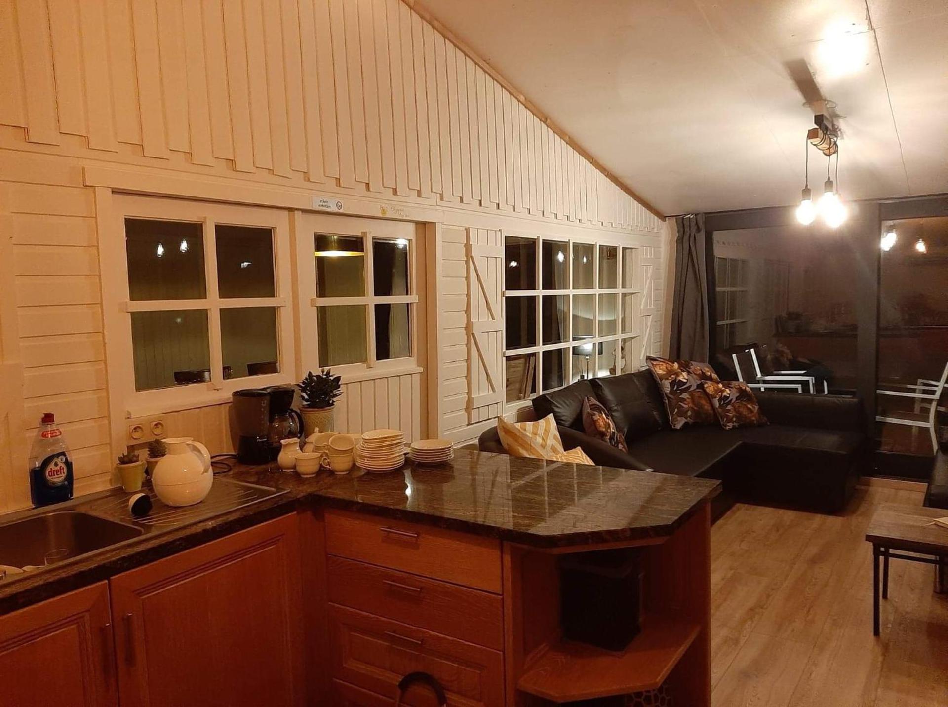 Rosy Garden in the winter