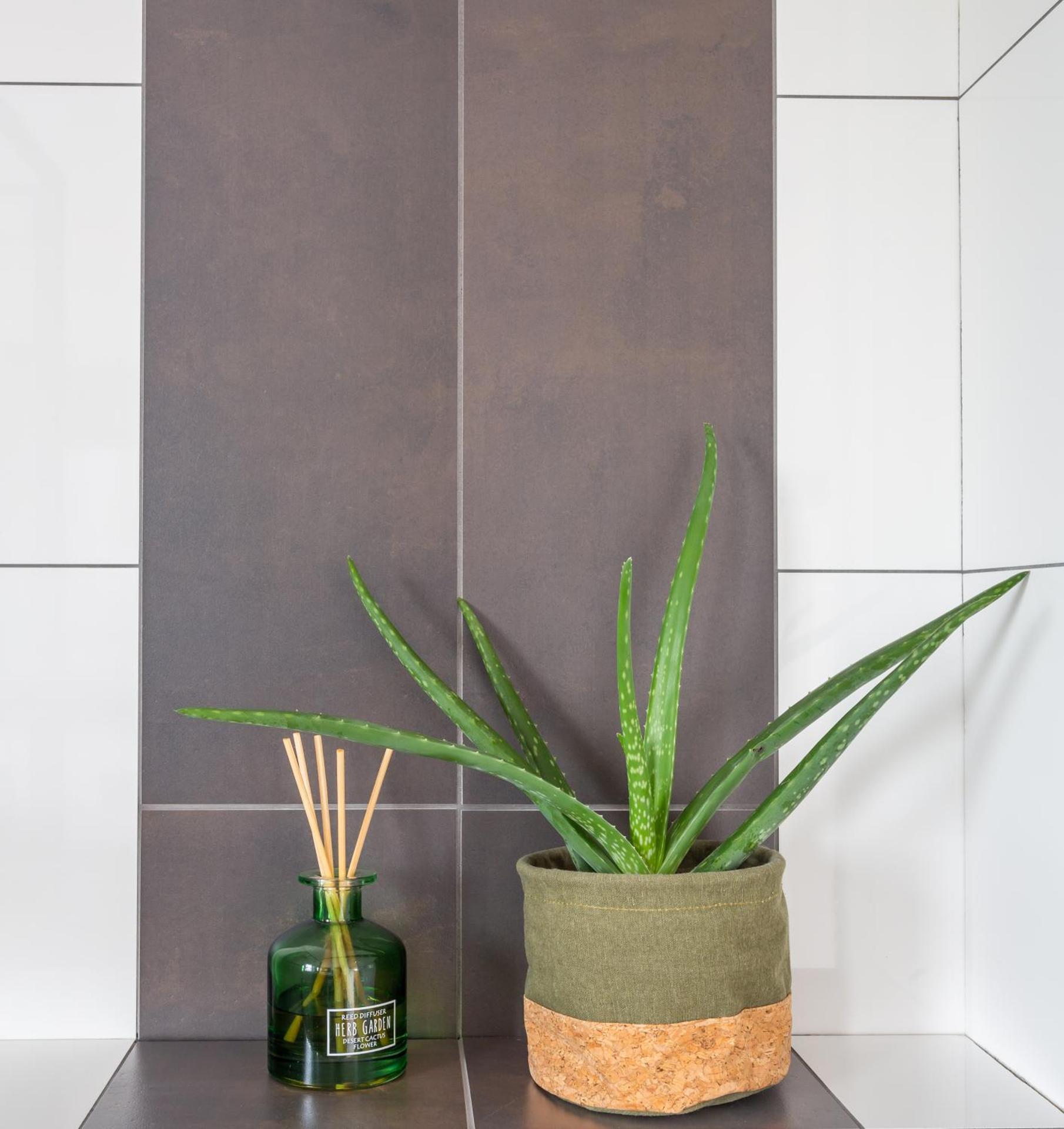 Vakantiewoning De Koekoek