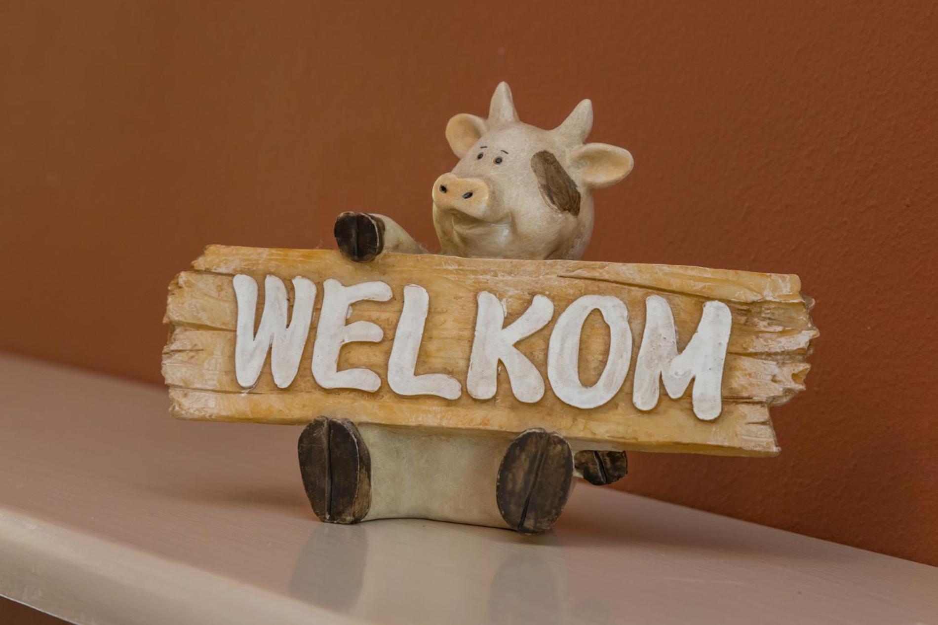 Welcome in - Appartement dichtbij het strand, met fietsenberging en ruim terras