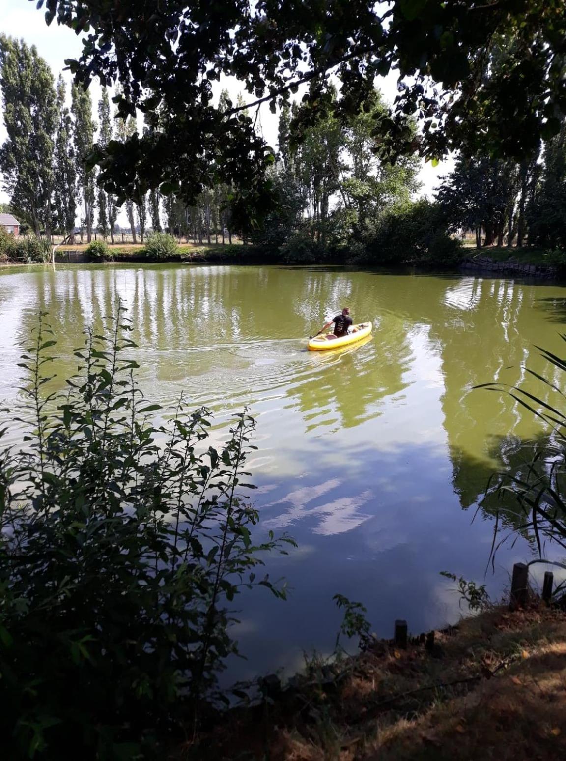 Rosy Garden in the winter