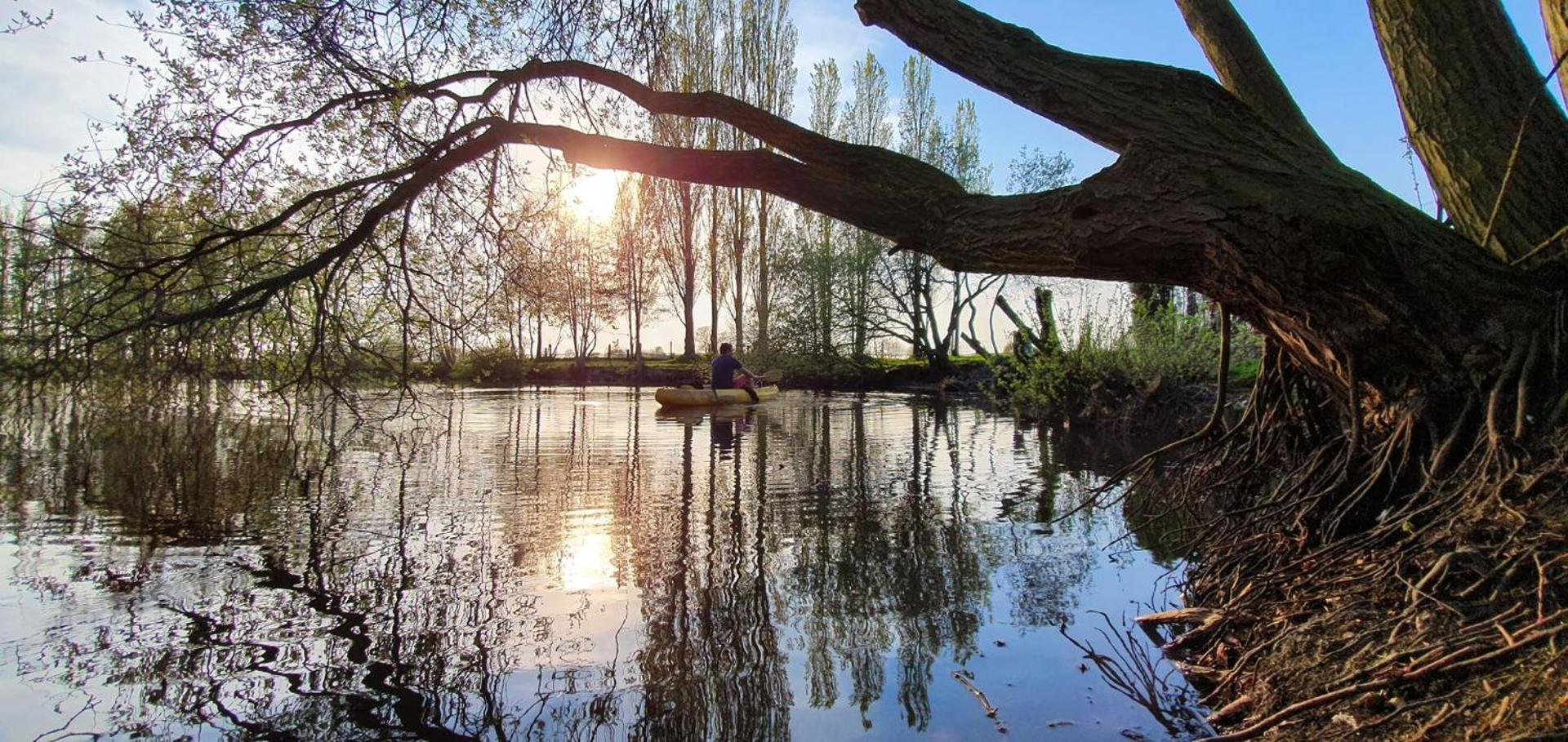 Rosy Garden in the winter