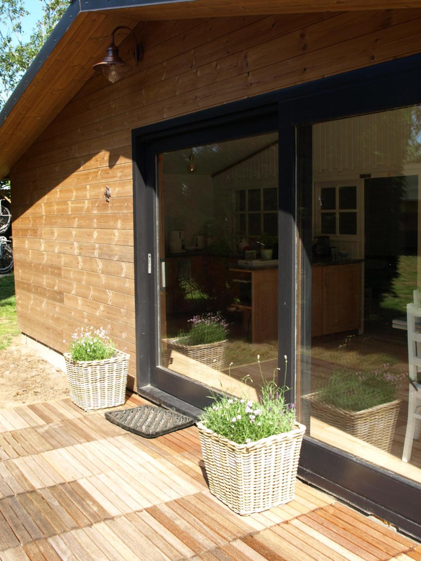 Rosy Garden in the winter