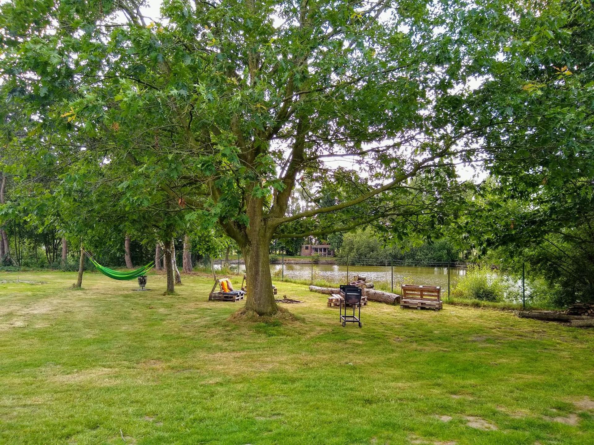 Rosy Garden in the winter