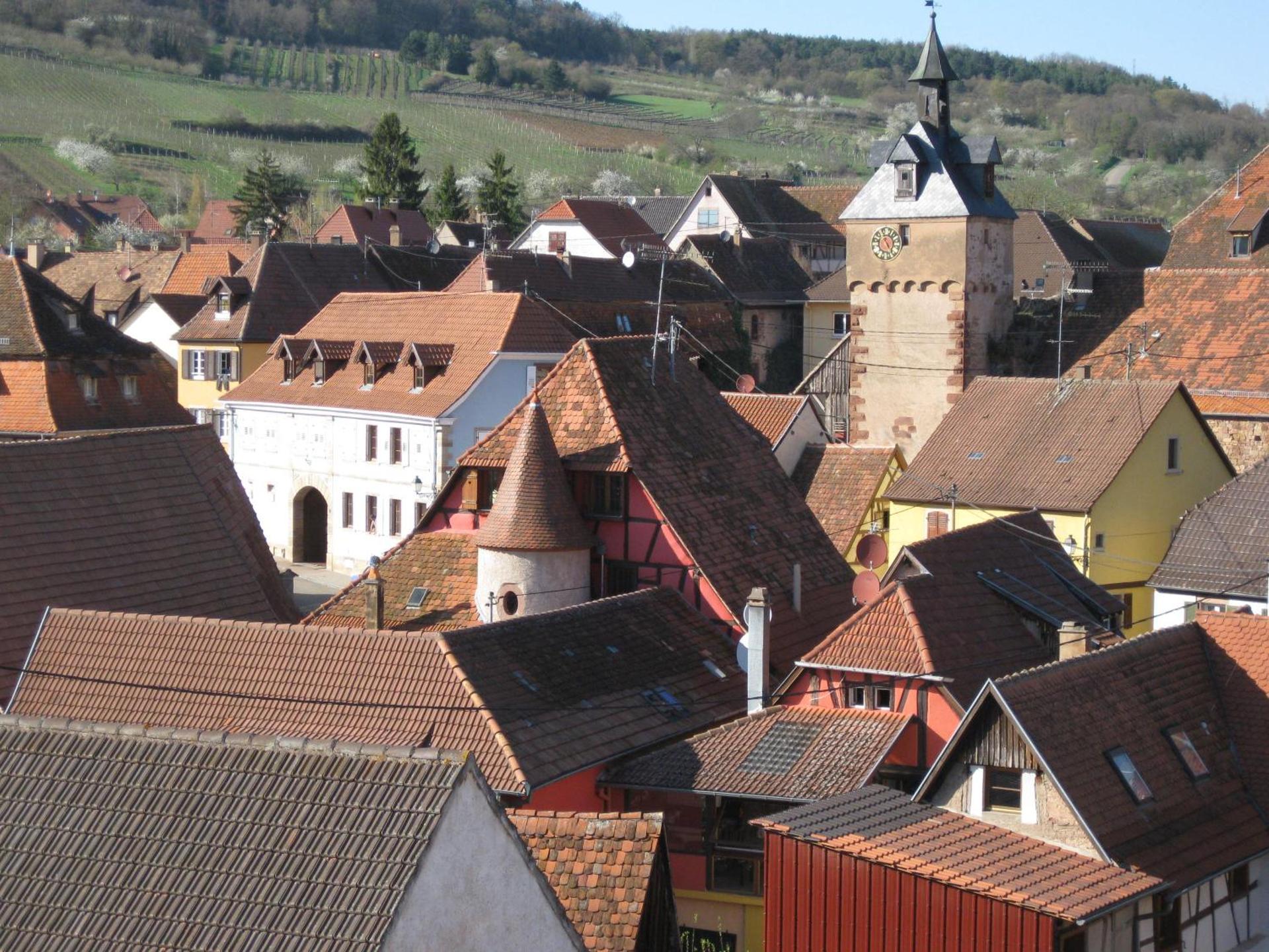 View (from property/room)