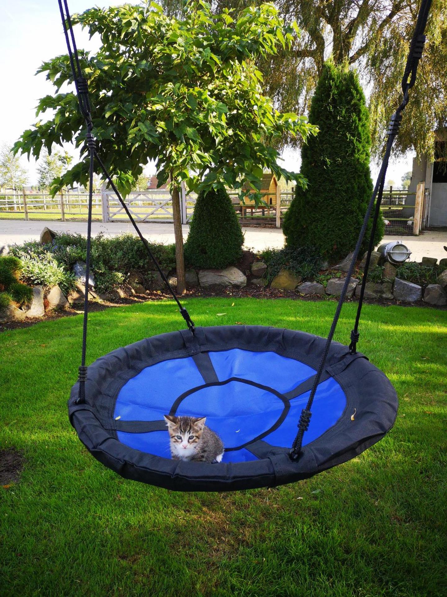 Children play ground