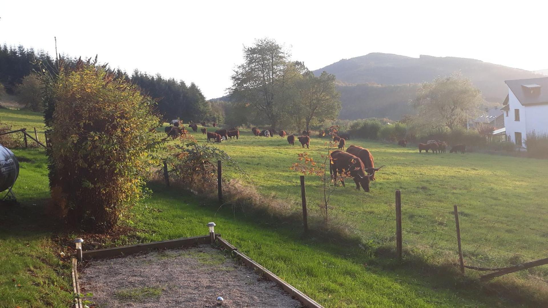 Le chalet de Roanne-Coo