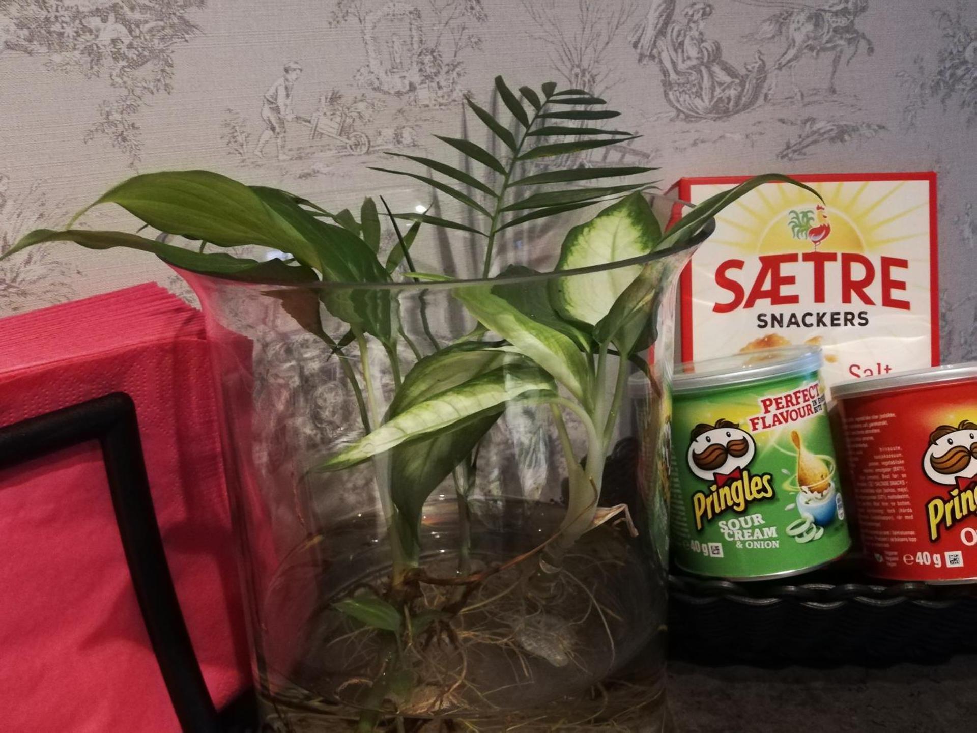 The Little Apartment