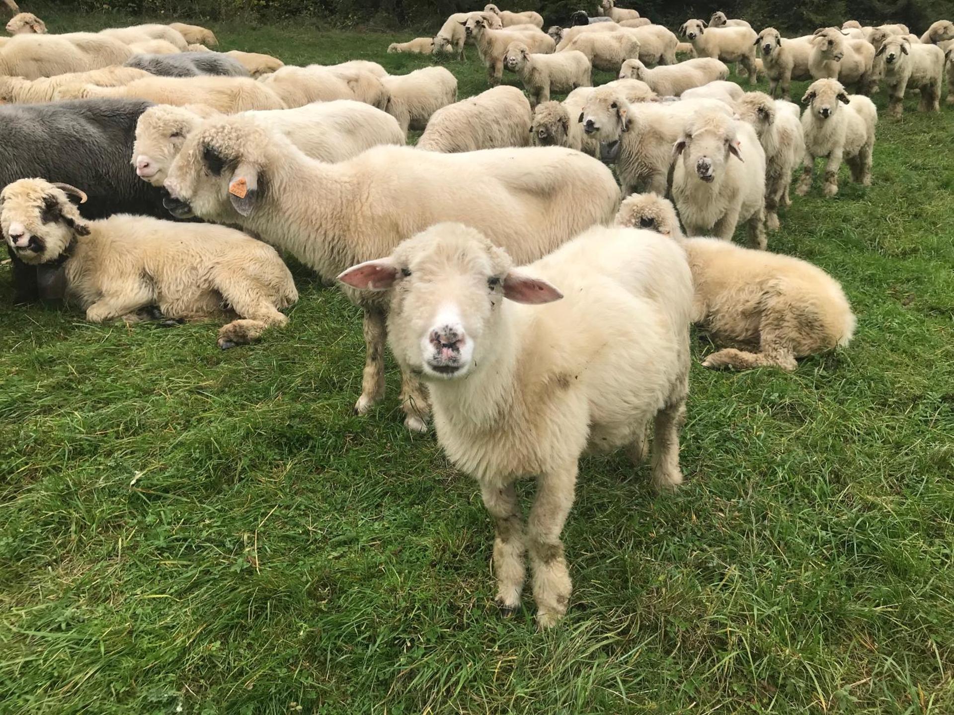 Apartament w Jaworkach - Pod Wysoką