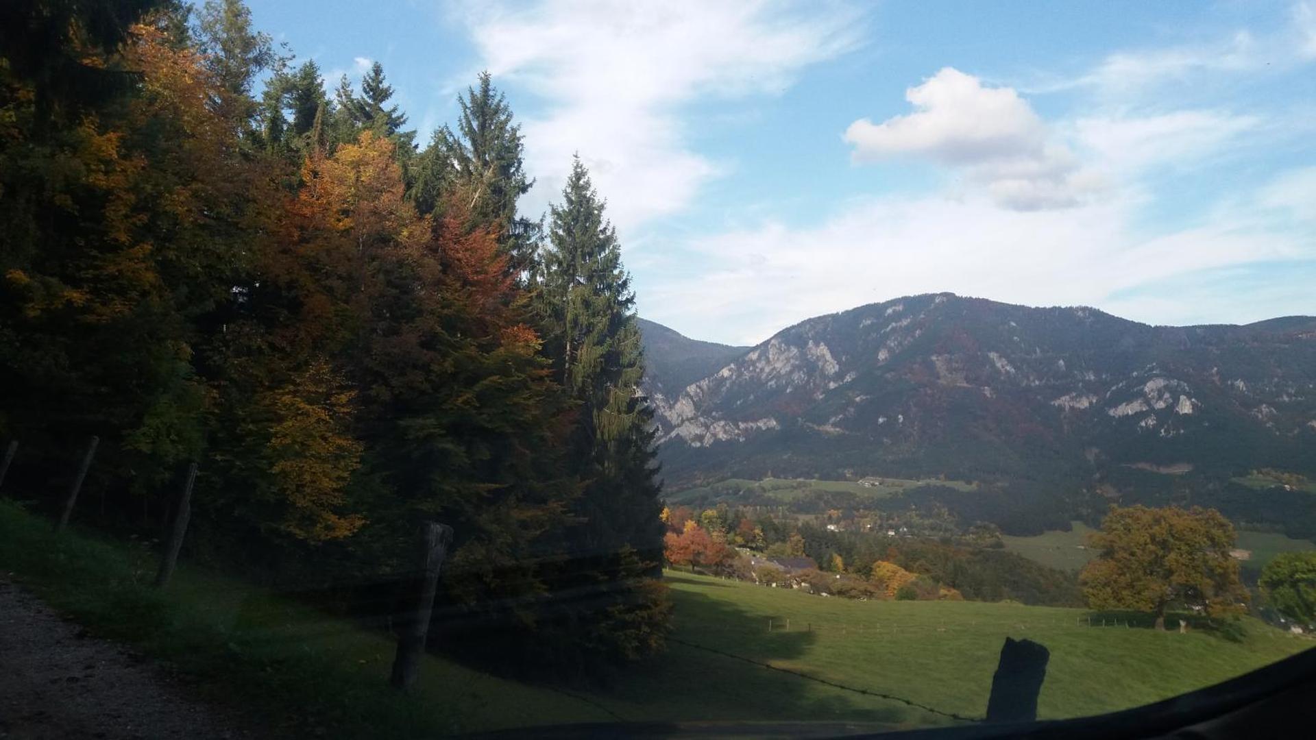 Ferienwohnung Holzer