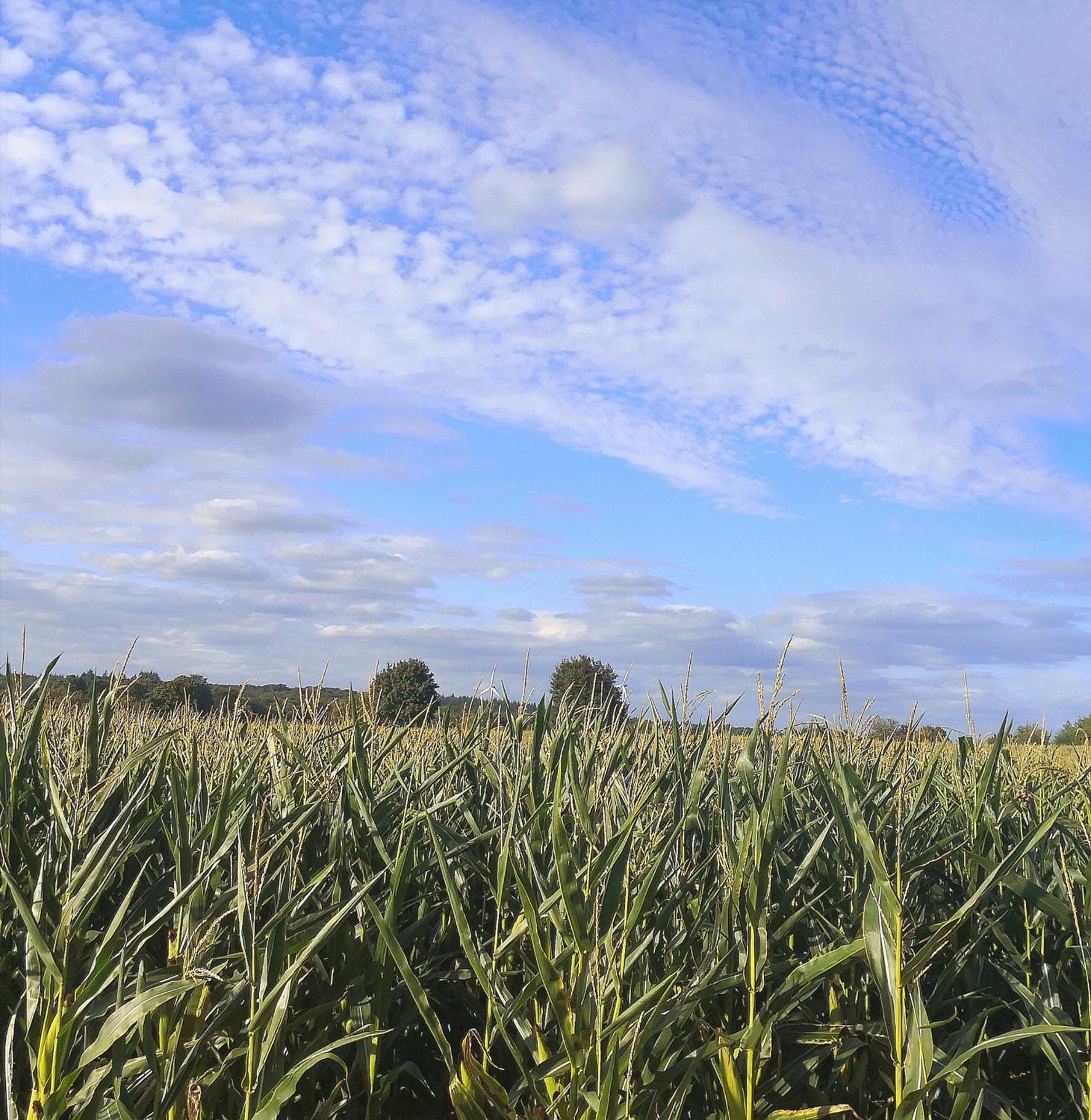 Landhotel Saar-Mosel