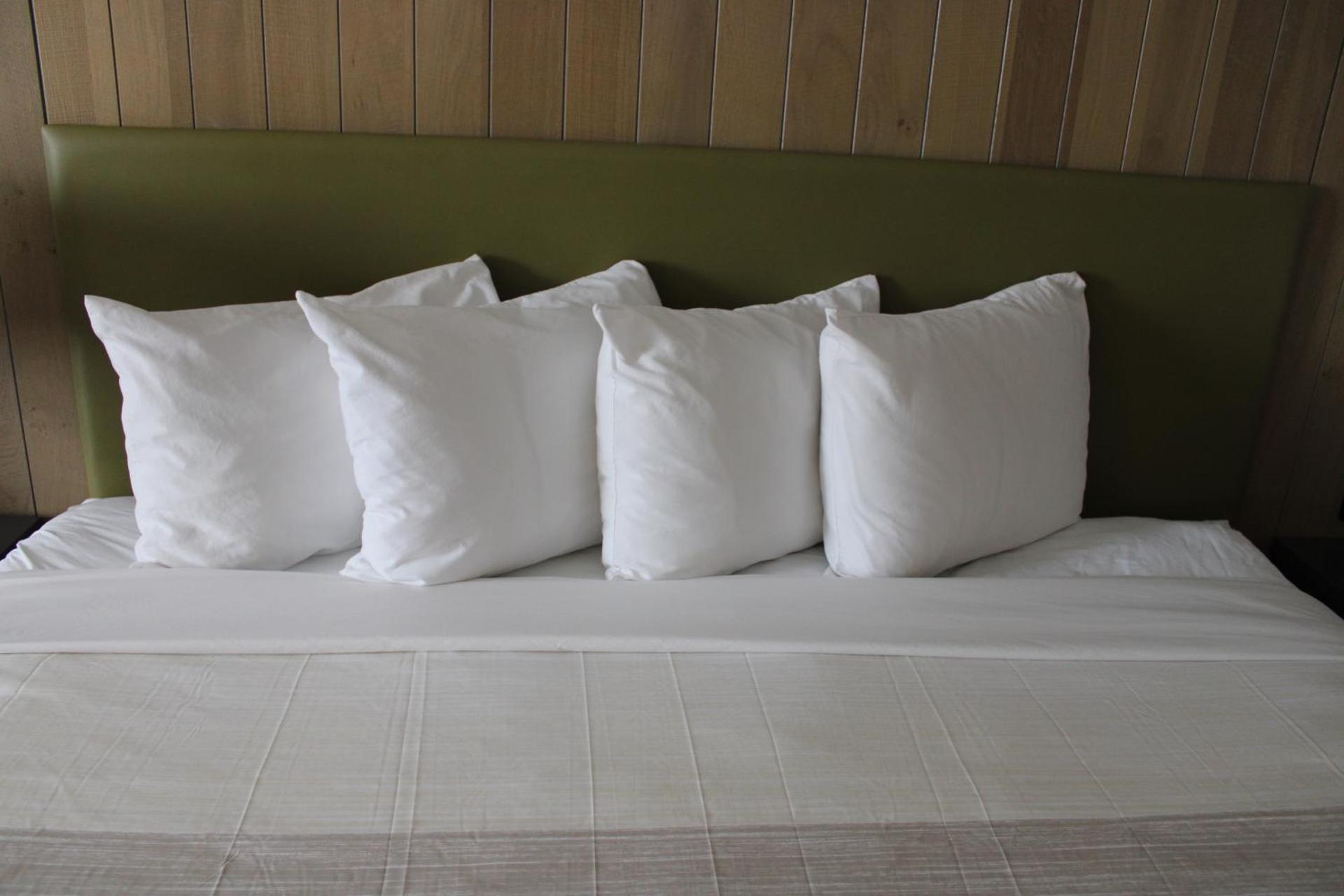 King Room - Disability Access