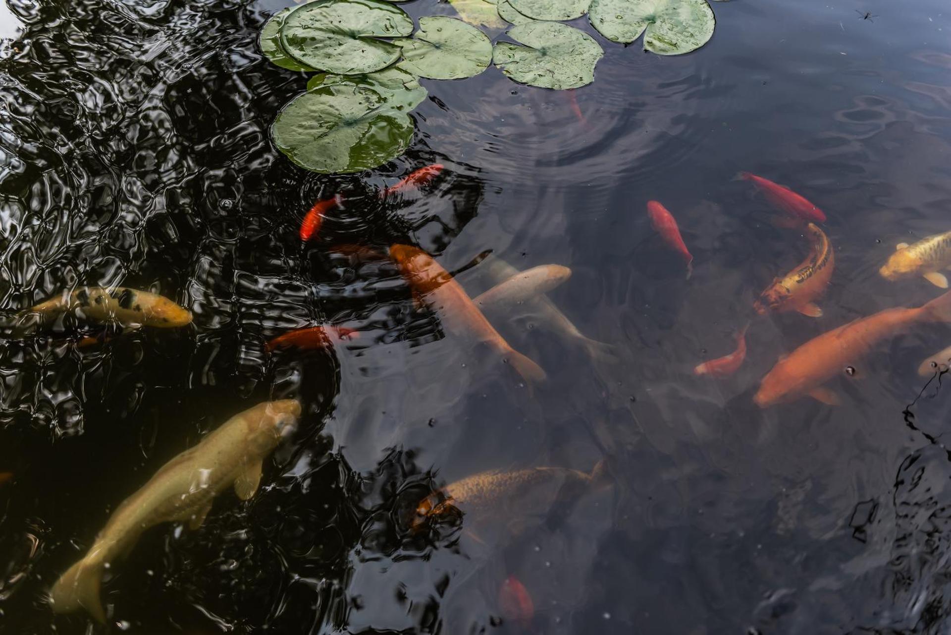 Ferienanlage Beatrix