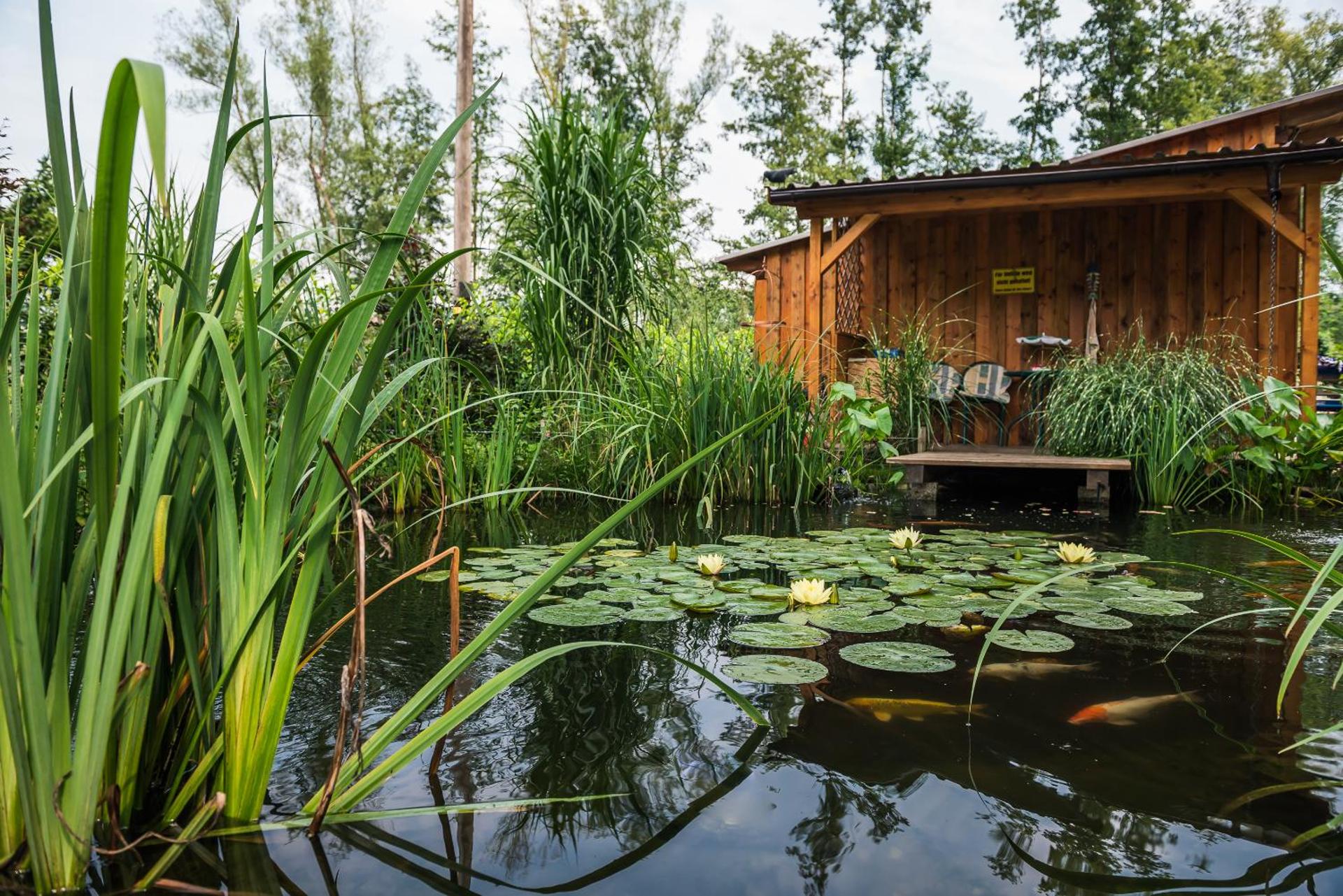 Ferienanlage Beatrix