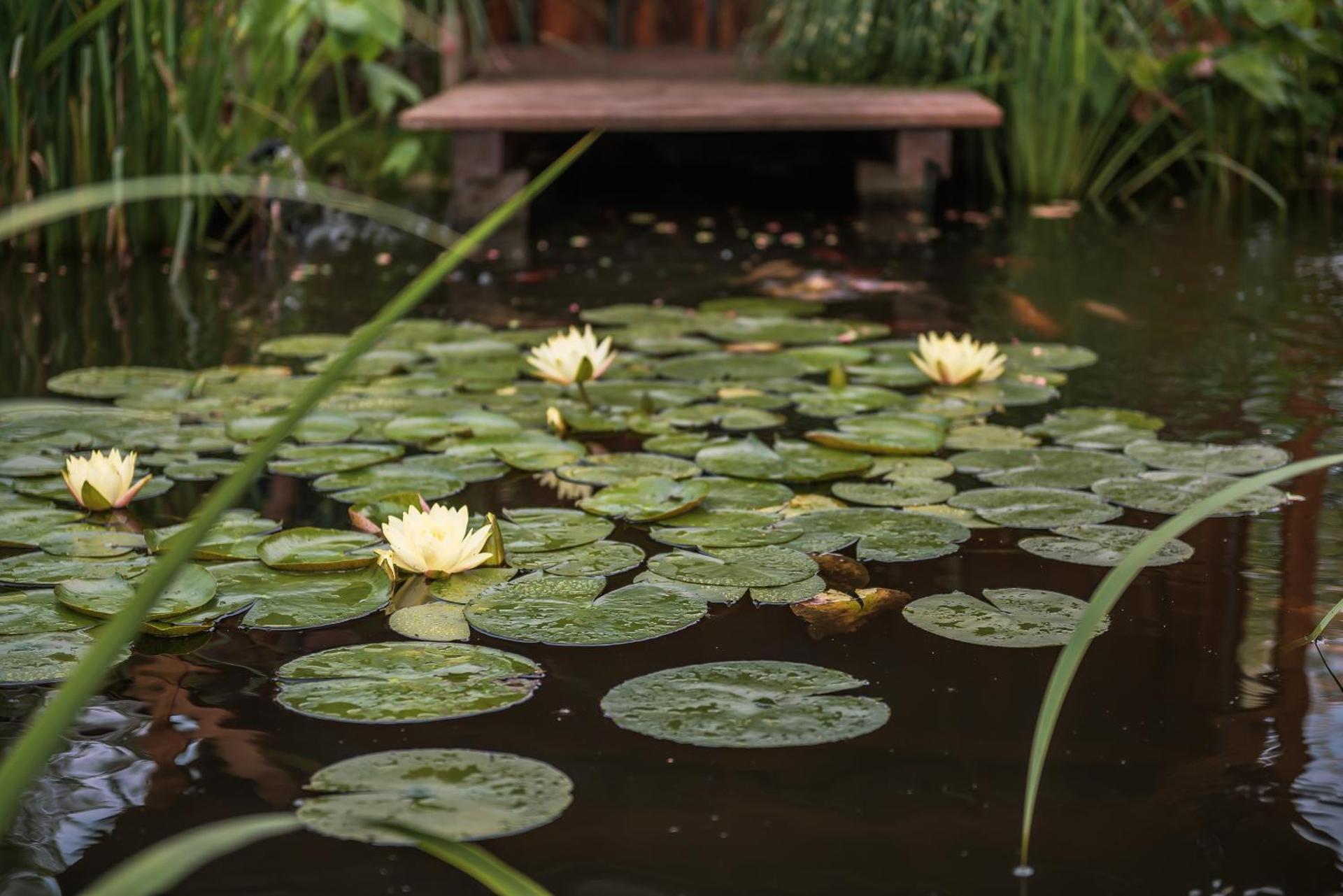 Ferienanlage Beatrix