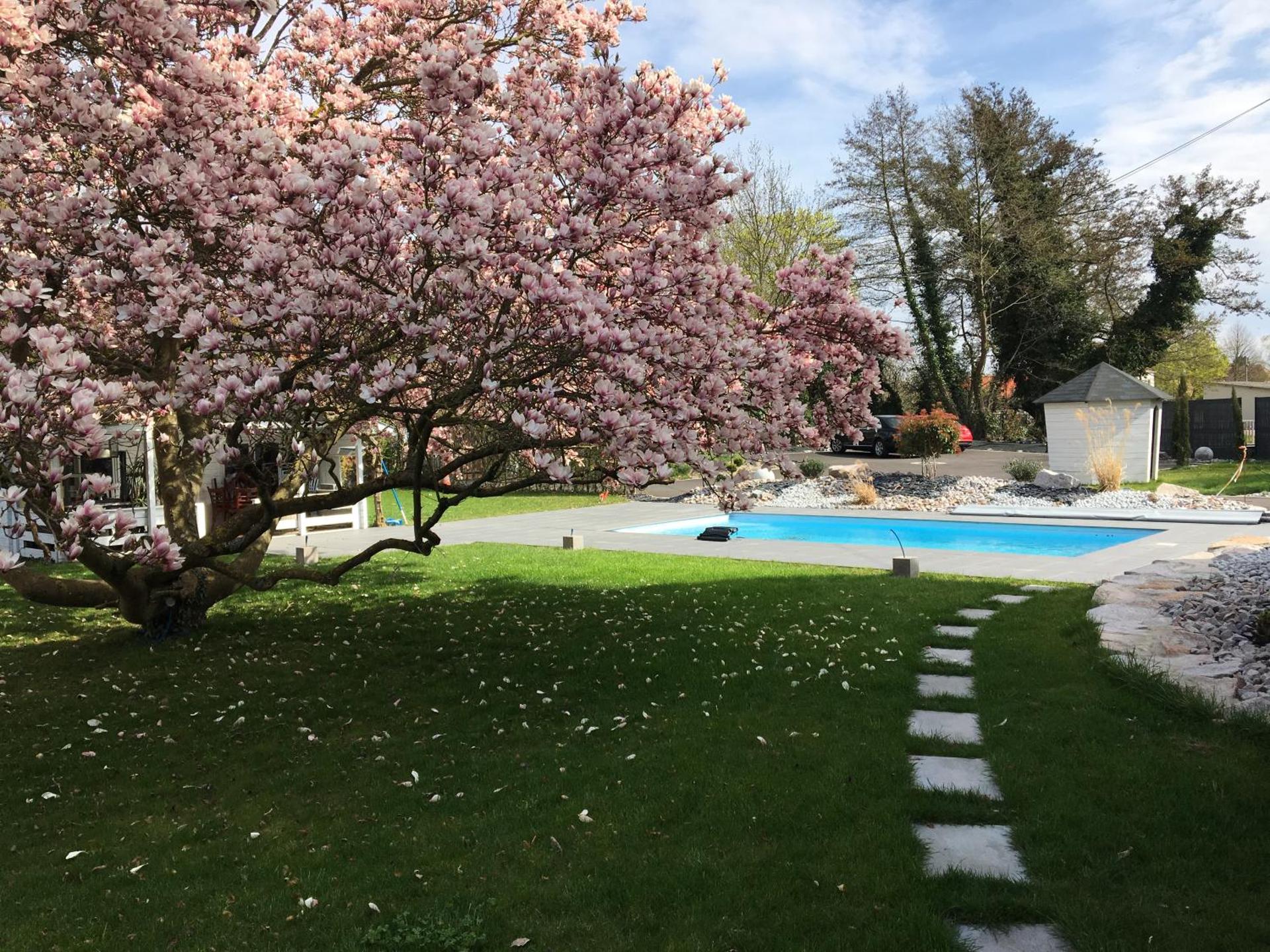 Les Rives des Habsbourg