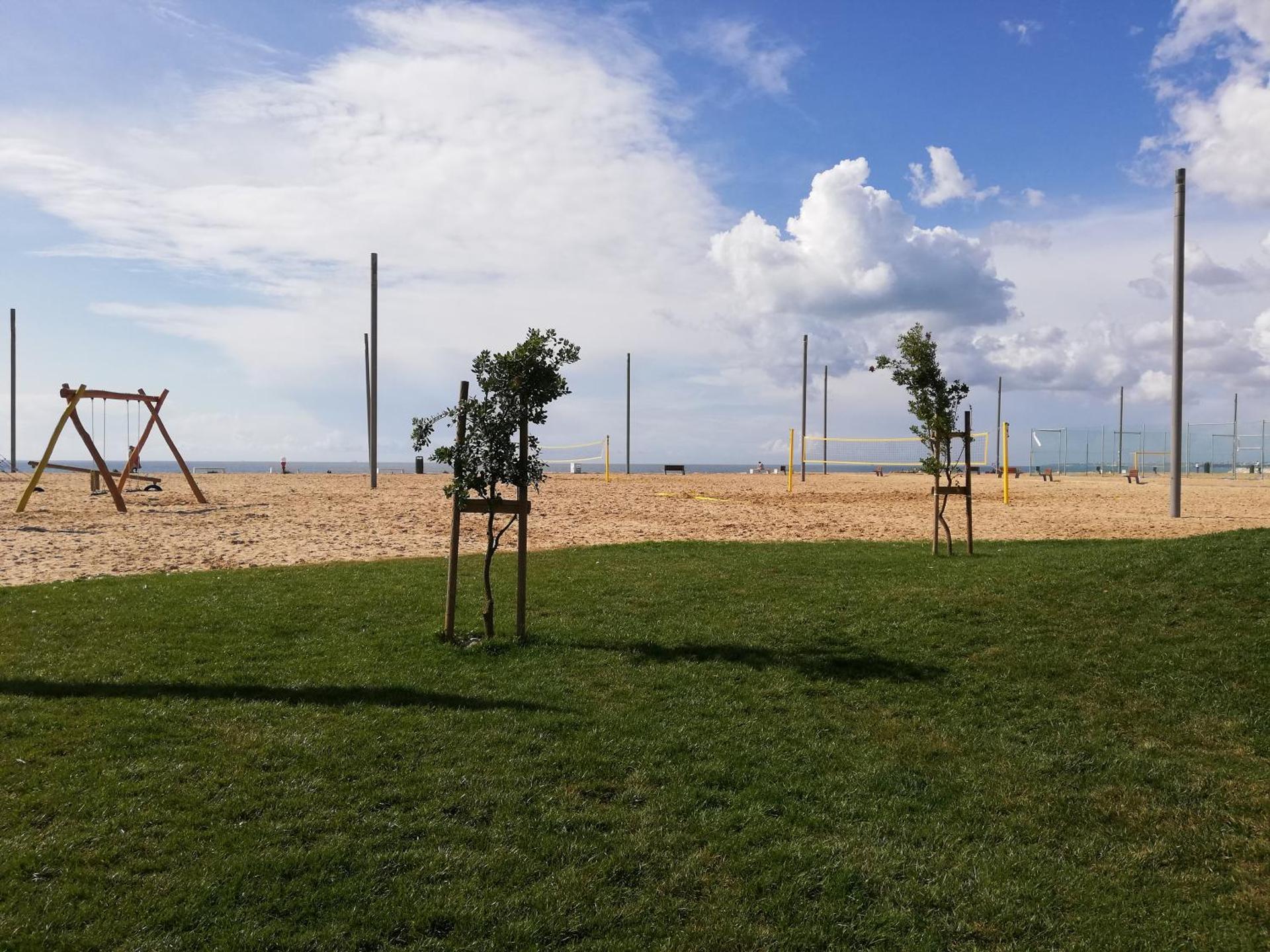 Children play ground