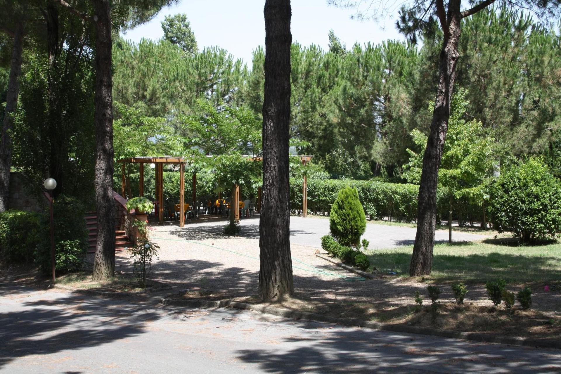 Hotel Ristorante Il Pino